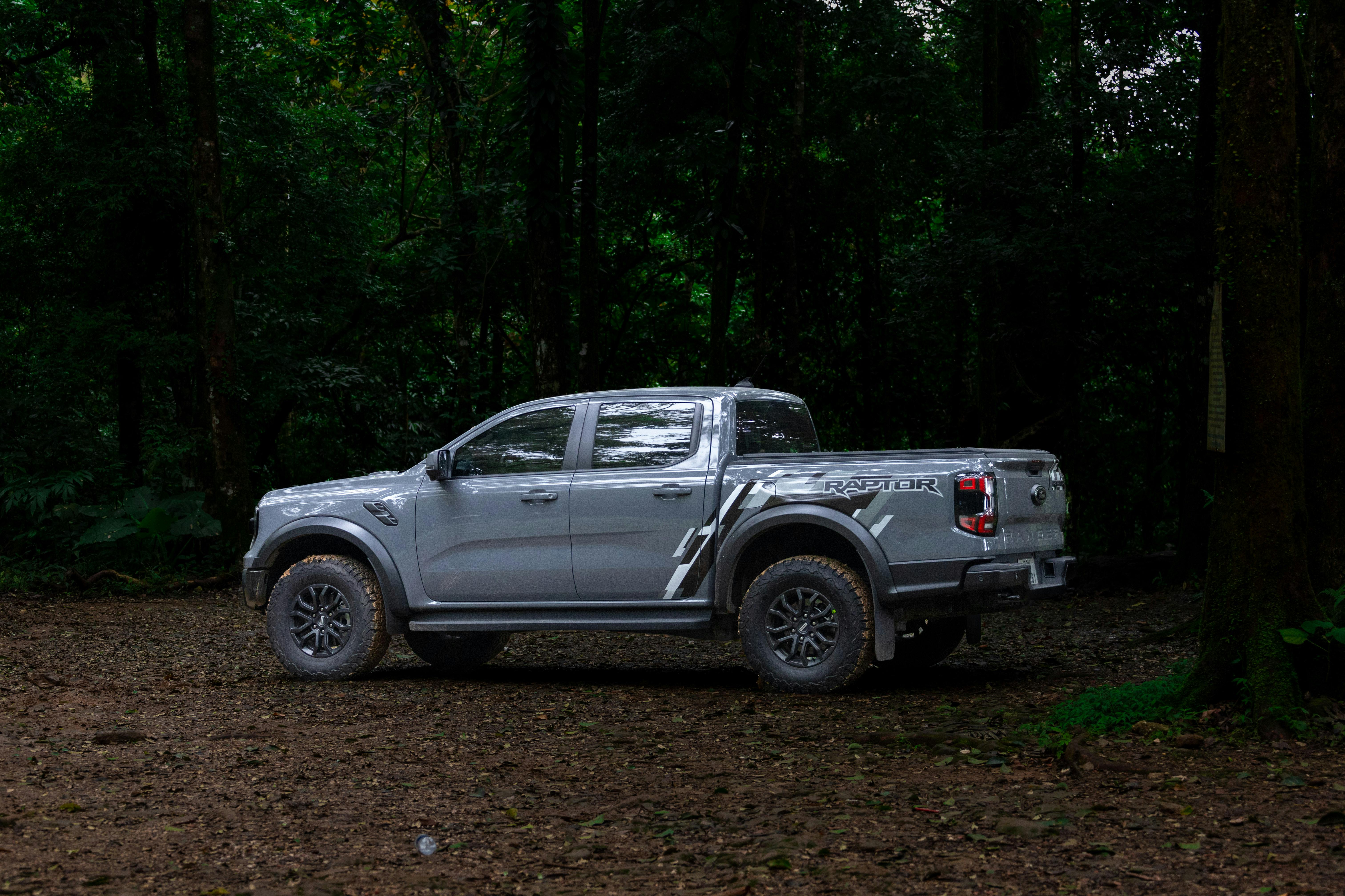 Eco-Friendly Vacation Ideas in Rare Ecosystems