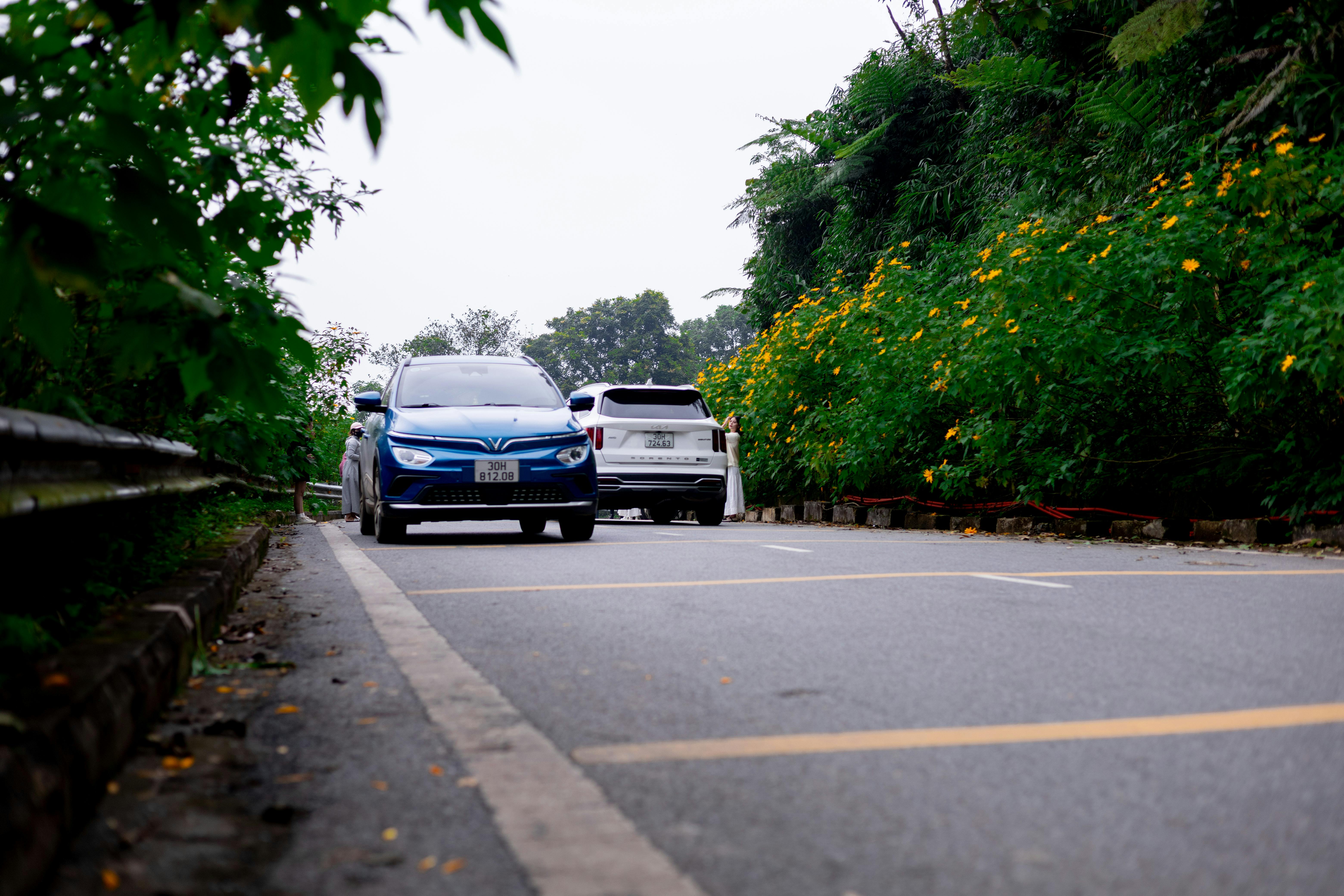 autonomous vehicles, electric cars, car connectivity, vehicle infotainment, driver assistance systems, automotive AI, smart m