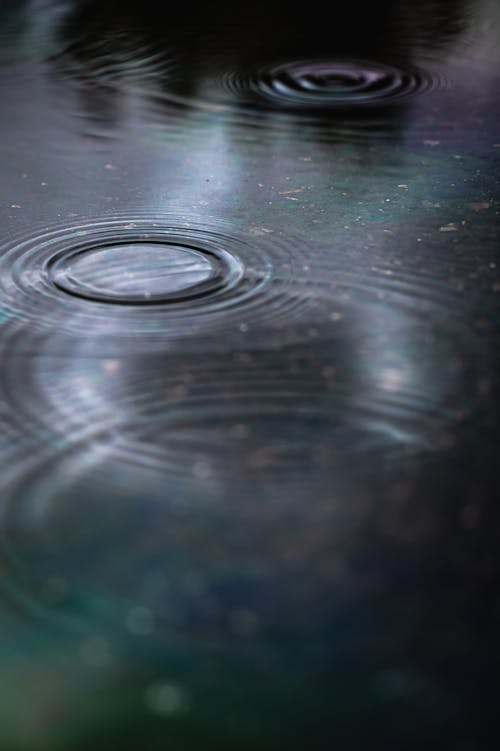 Foto De Enfoque Selectivo Del Agua