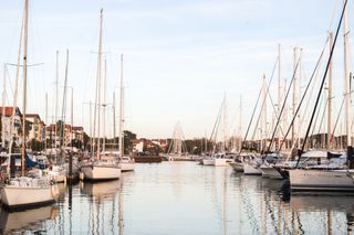Sailboats docked in a marina — Lucas Negredo Sagarzazu on Pexels