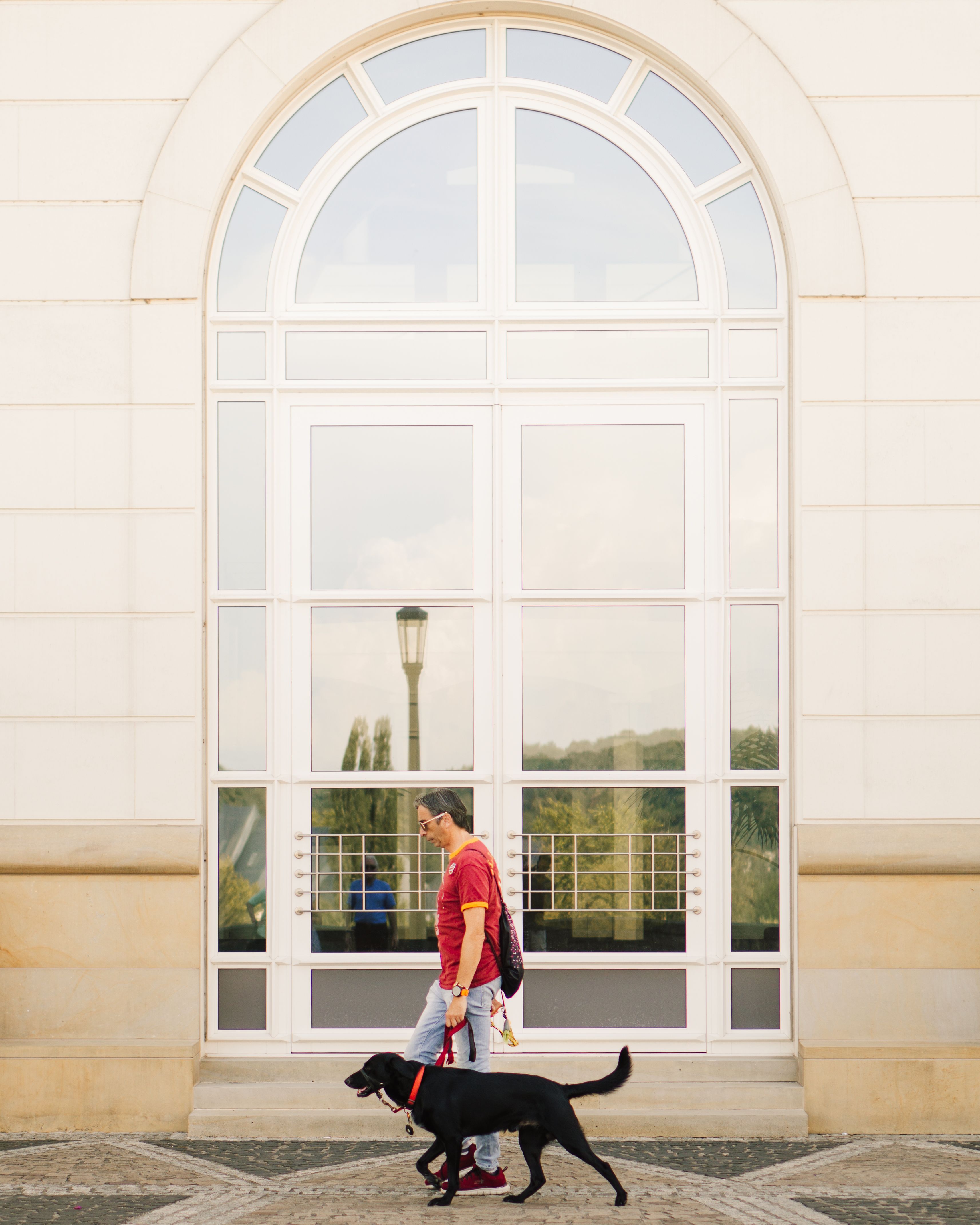 Man Walking Dog by Large Window in Urban Setting · Free Stock Photo