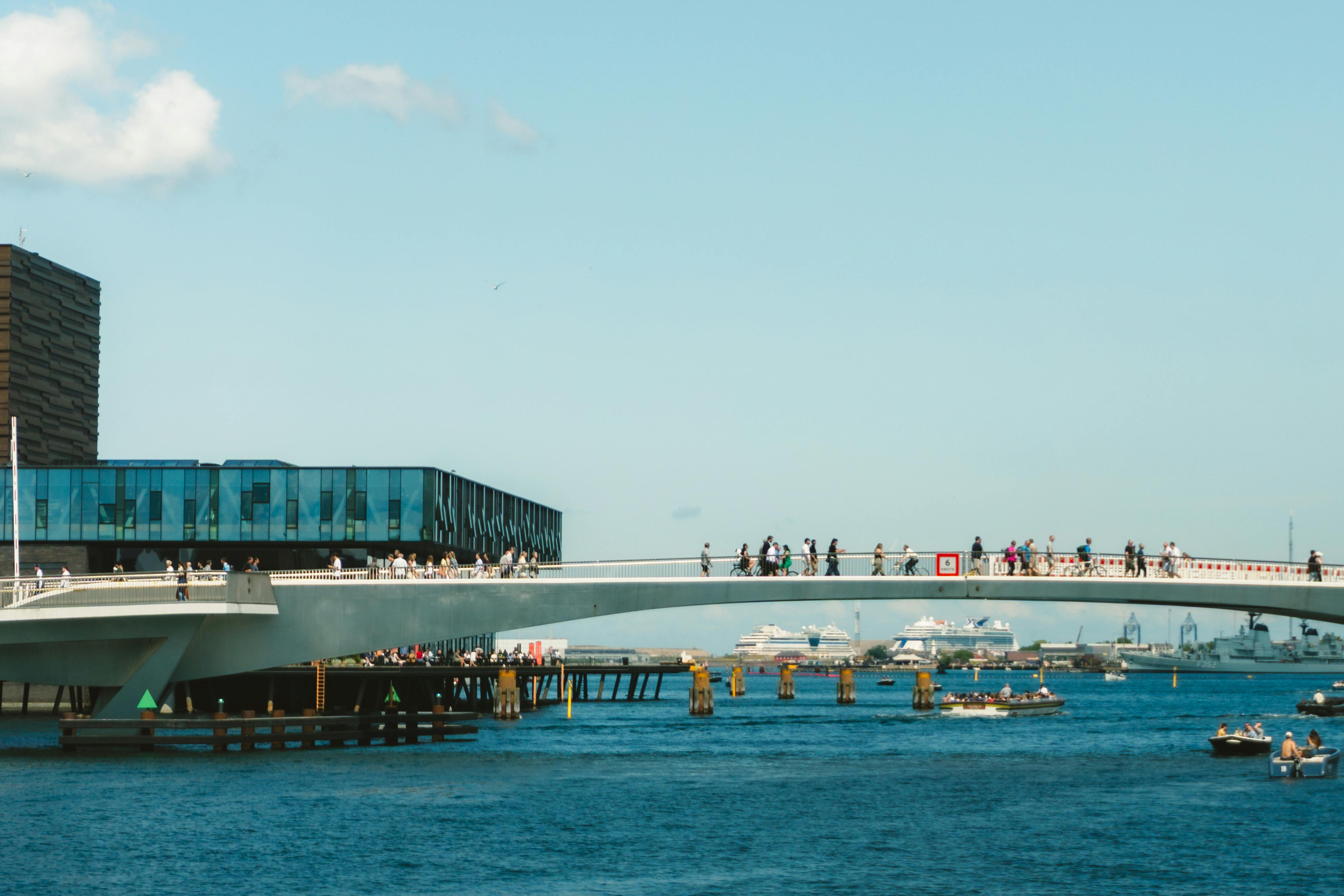 財經：航海王最新動態解析！是否即將回神？完整報告一次看