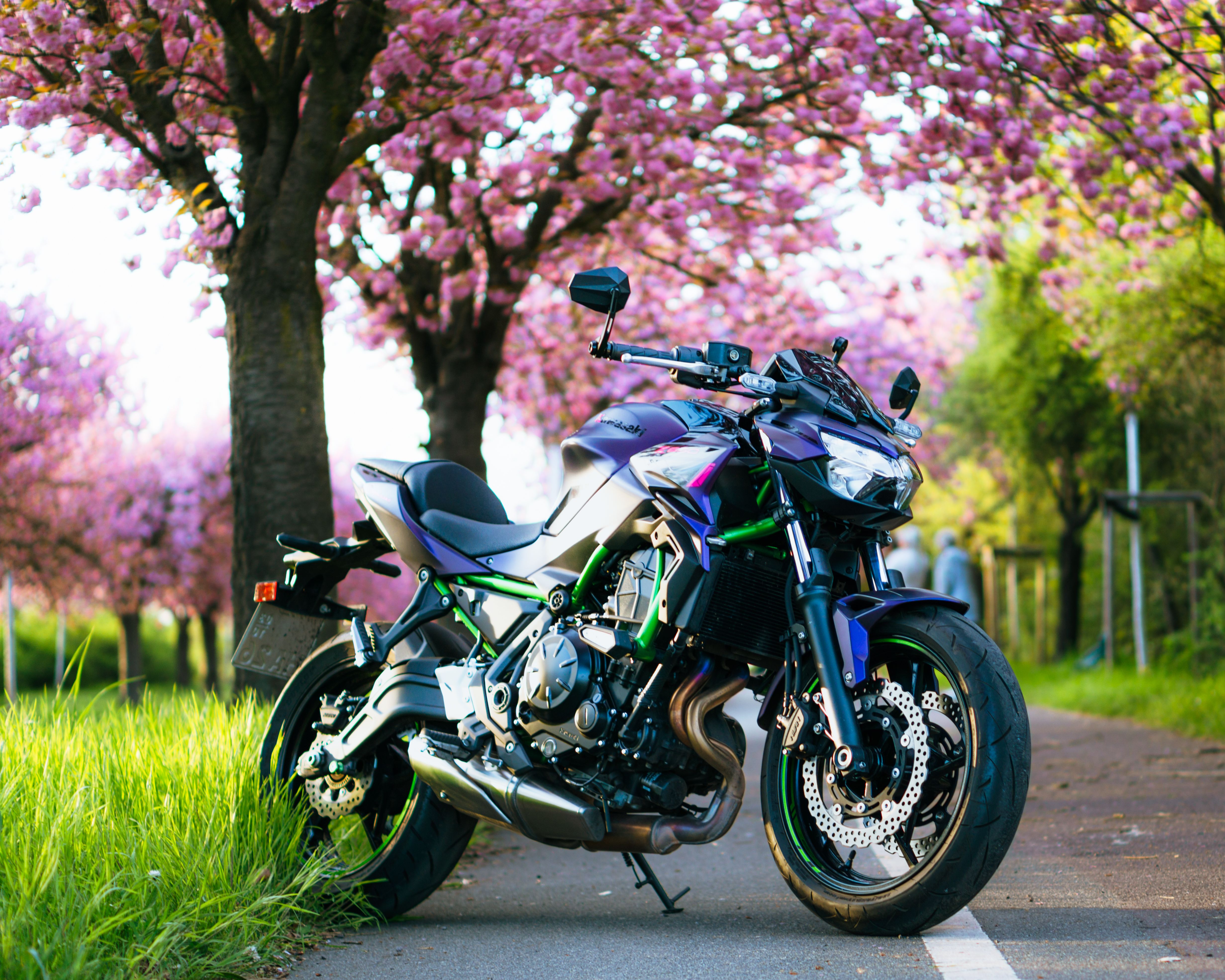Sleek Motorcycle under Cherry Blossoms in Spring · Free Stock Photo