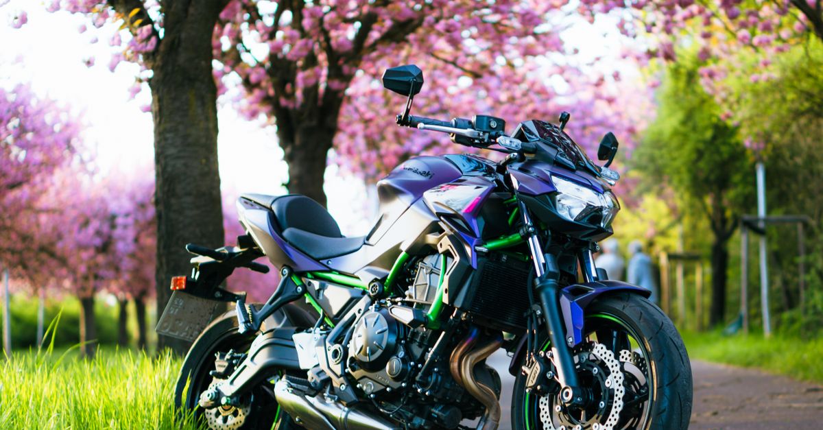 Spring Over Tree Motorcycle Sleek Motorcycle under Cherry Blossoms in Spring · Free Stock Photo