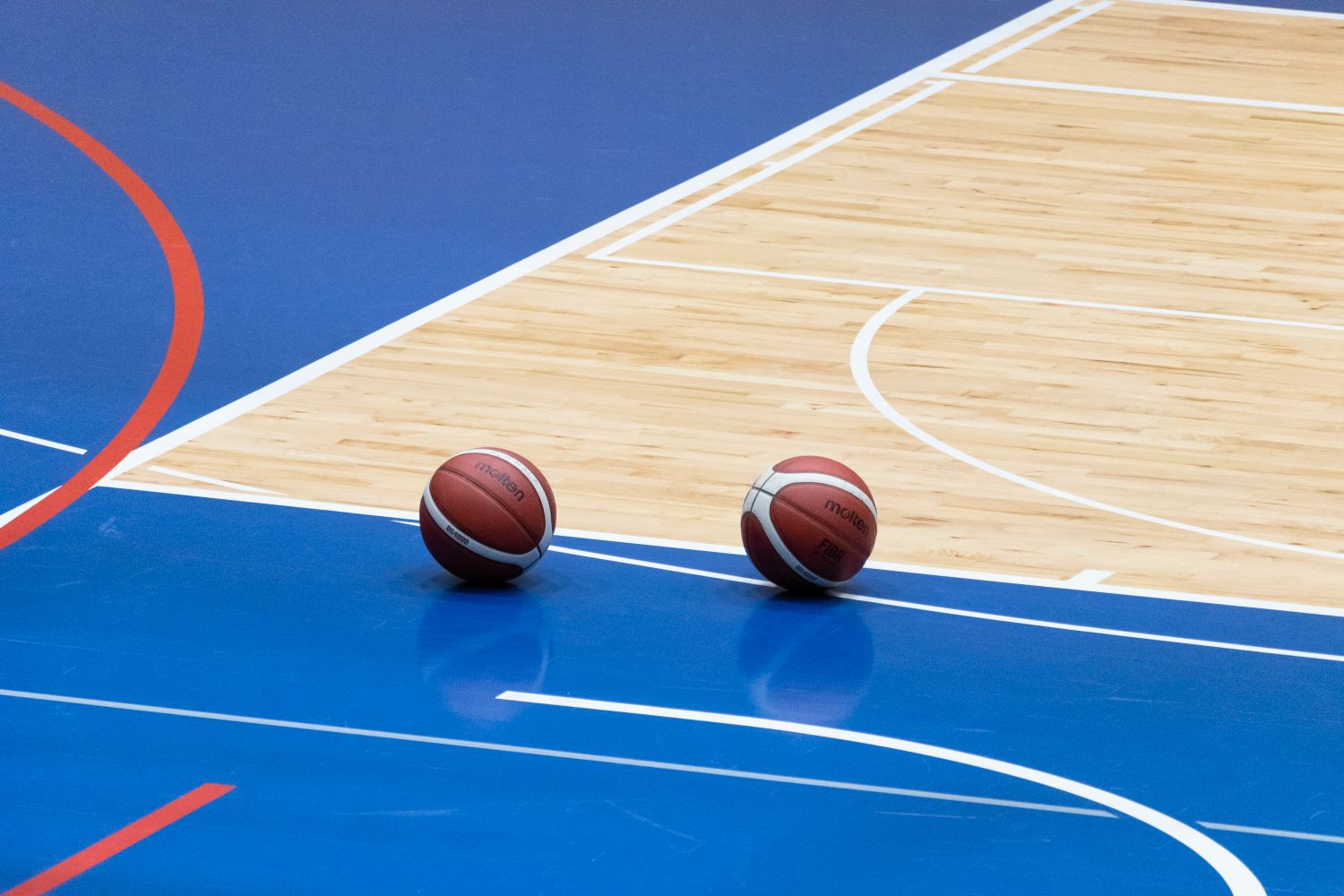 Official Basketball