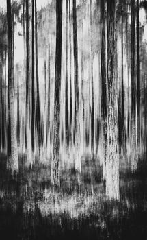 A mysterious abstract black and white image depicting a forest with blurred motion.