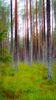 Blurry artistic shot of a serene forest featuring vertical tree patterns under soft lighting.