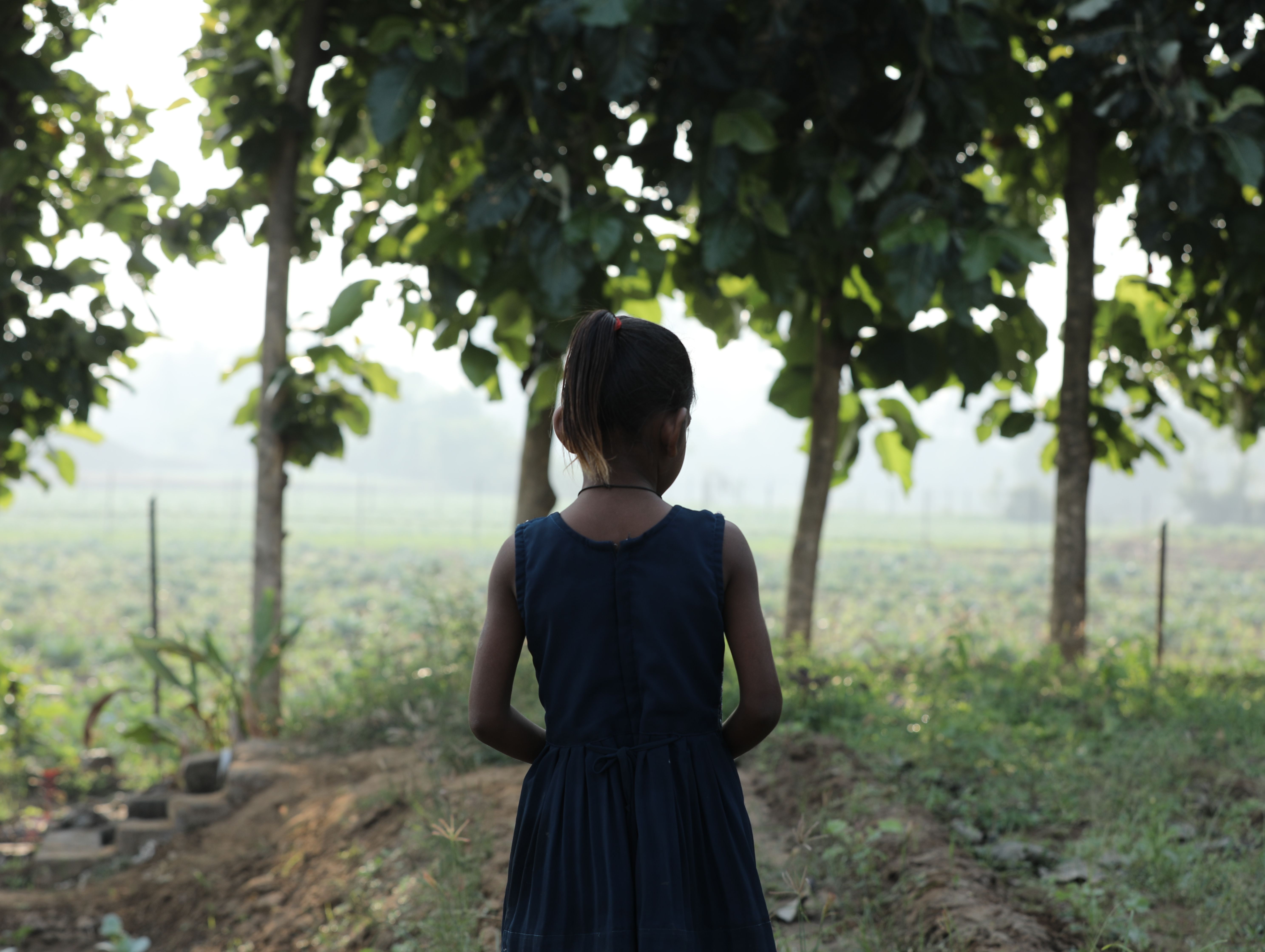 India's Climate Diplomacy Push: Chhattisgarh's Forest Villages Lead Local Action