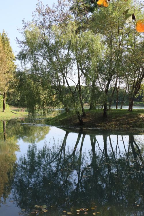 Free Serene lake with trees reflecting on water in a peaceful park setting. Stock Photo