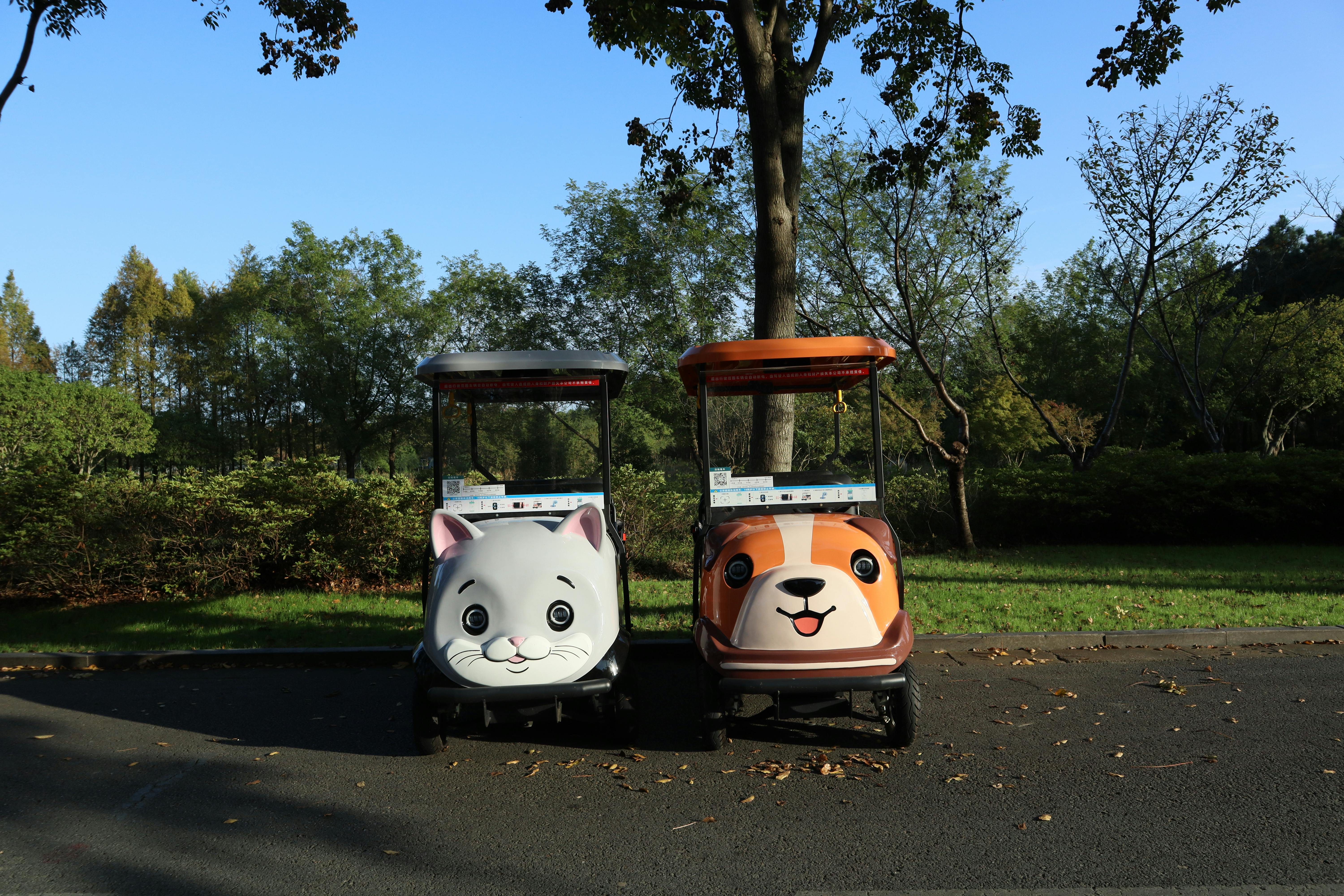 Electric Vehicles and Battery Storage: Accelerating the Future of Transport