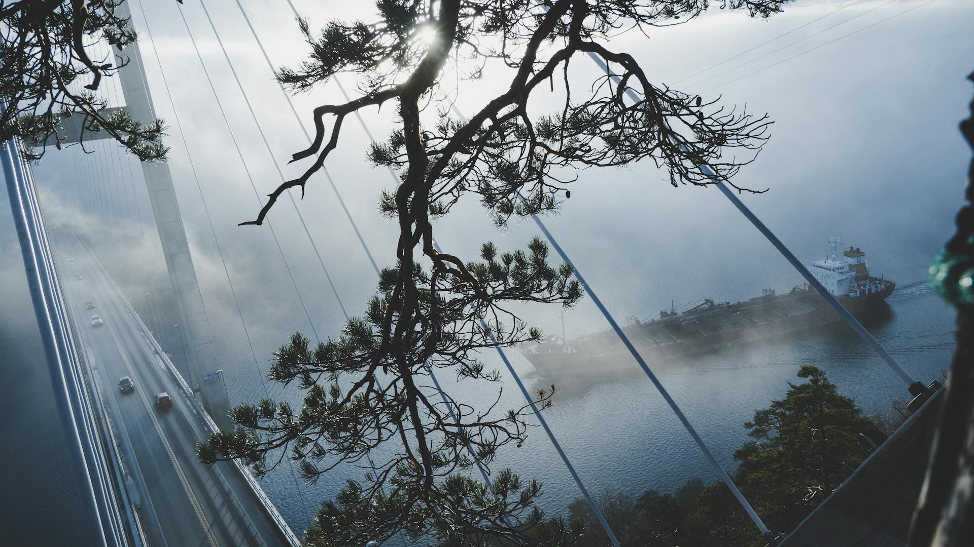 A misty morning view of a bridge and cargo ship surrounded by fog and trees, with sunlight peeking through.