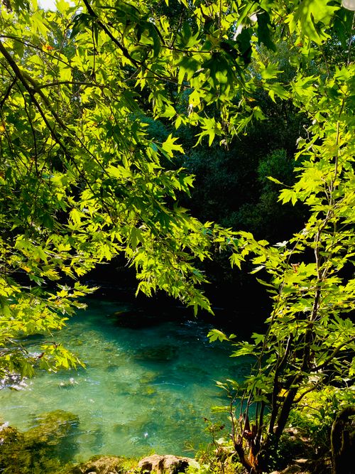Free Vibrant green leaves frame a clear, tranquil blue stream in a serene outdoor setting. Stock Photo