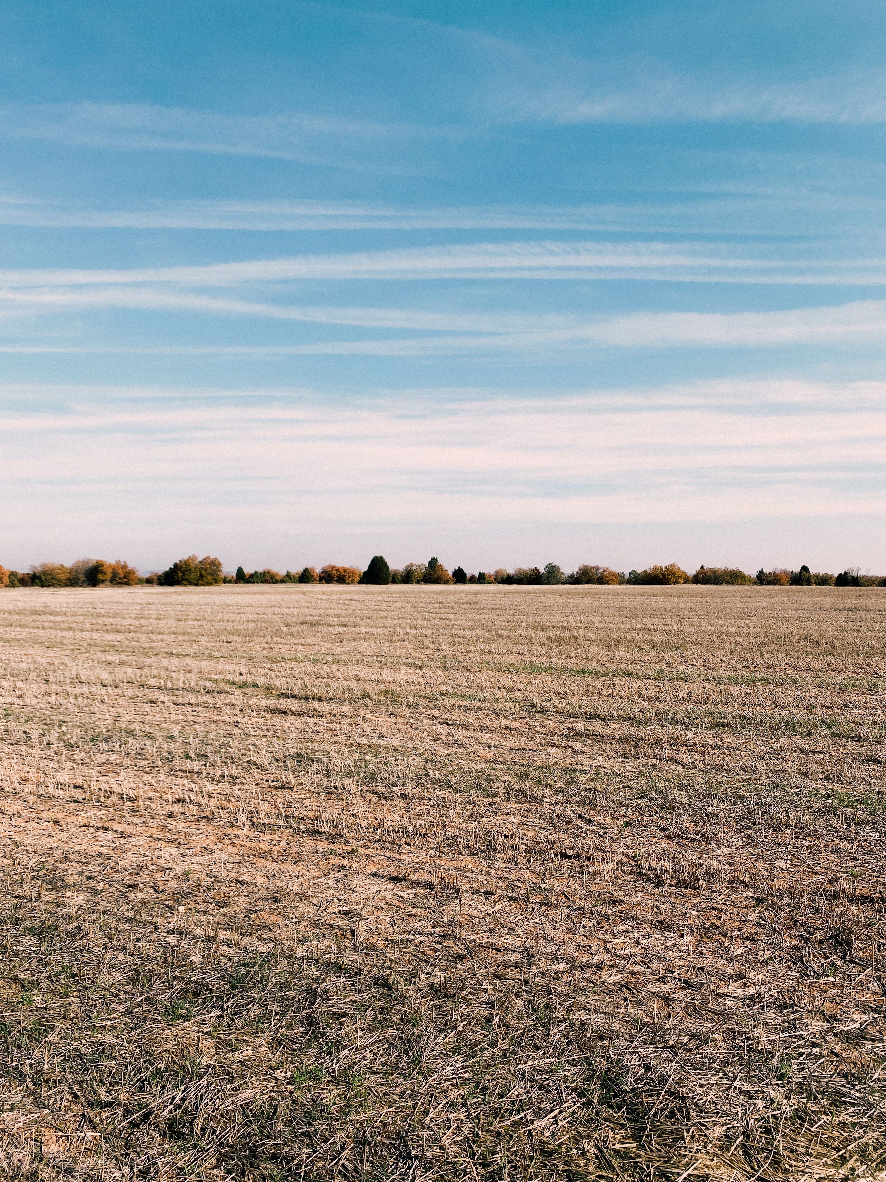 Vast Empty Field Under Blue Sky · Free Stock Photo