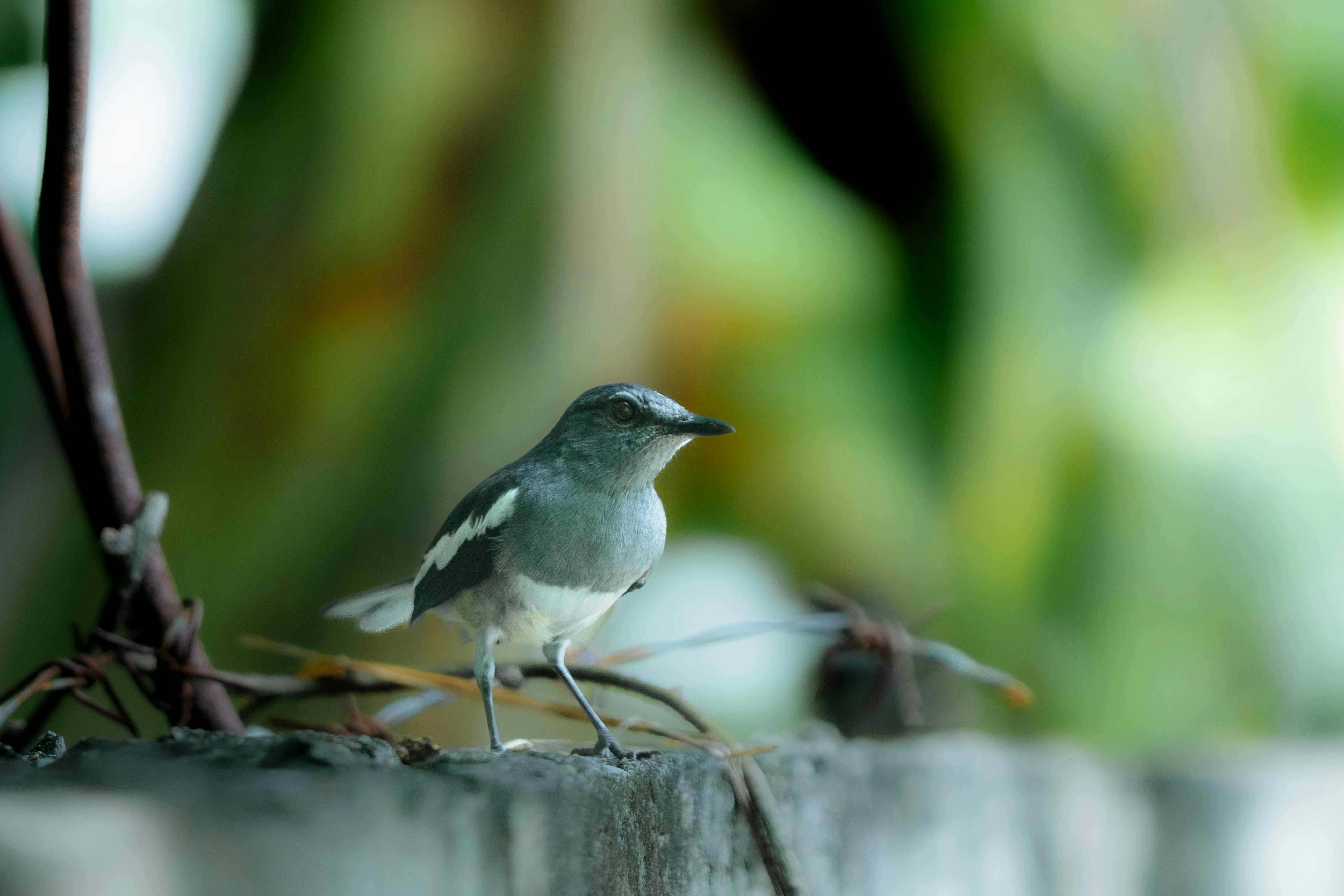 OPPO Find X9 Ultra傳國際版將上市，疑雙潛望鏡鏡頭配置曝光