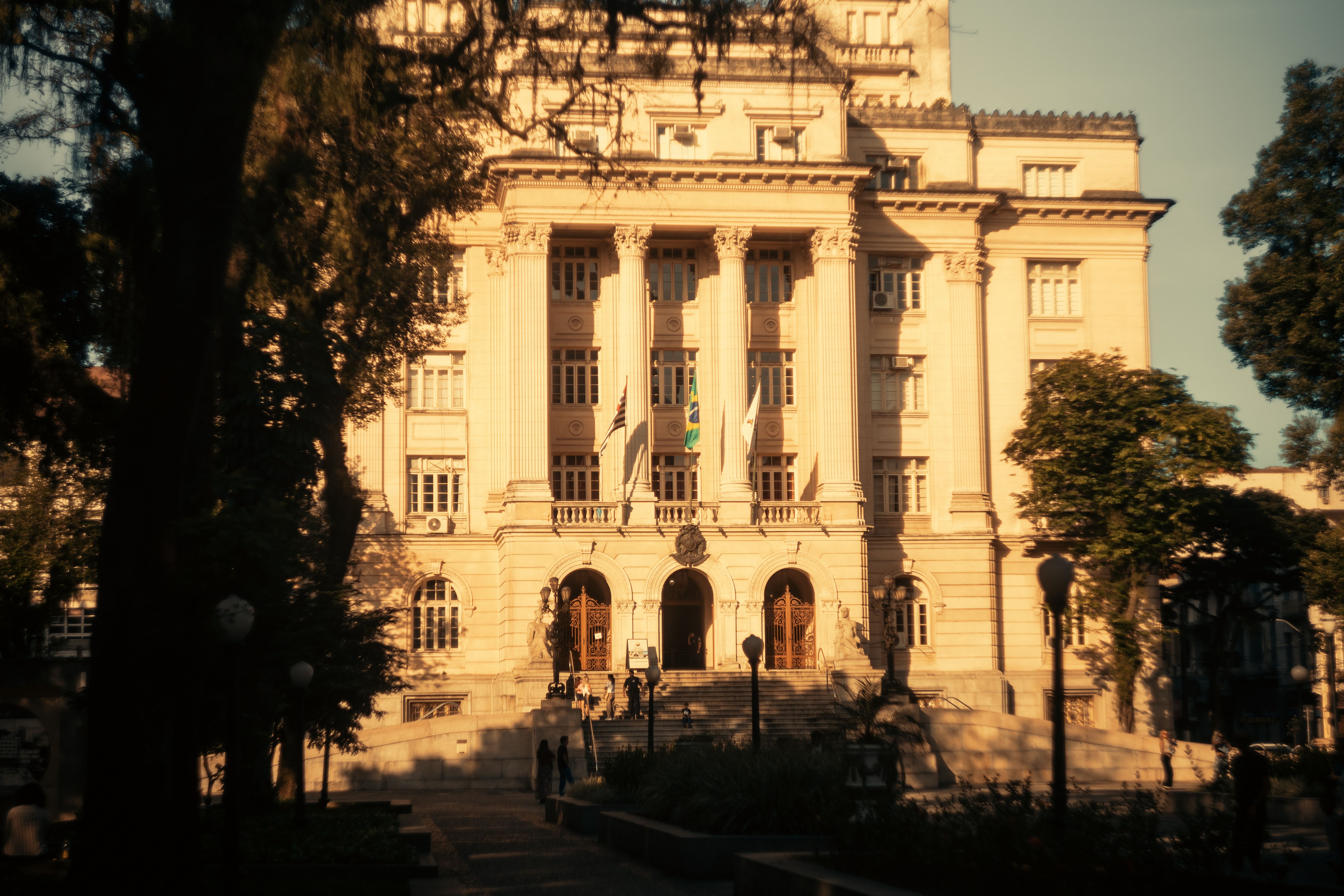 Candidatura ao Senado: O custo econômico de figuras extra-políticas no pleito de 2026