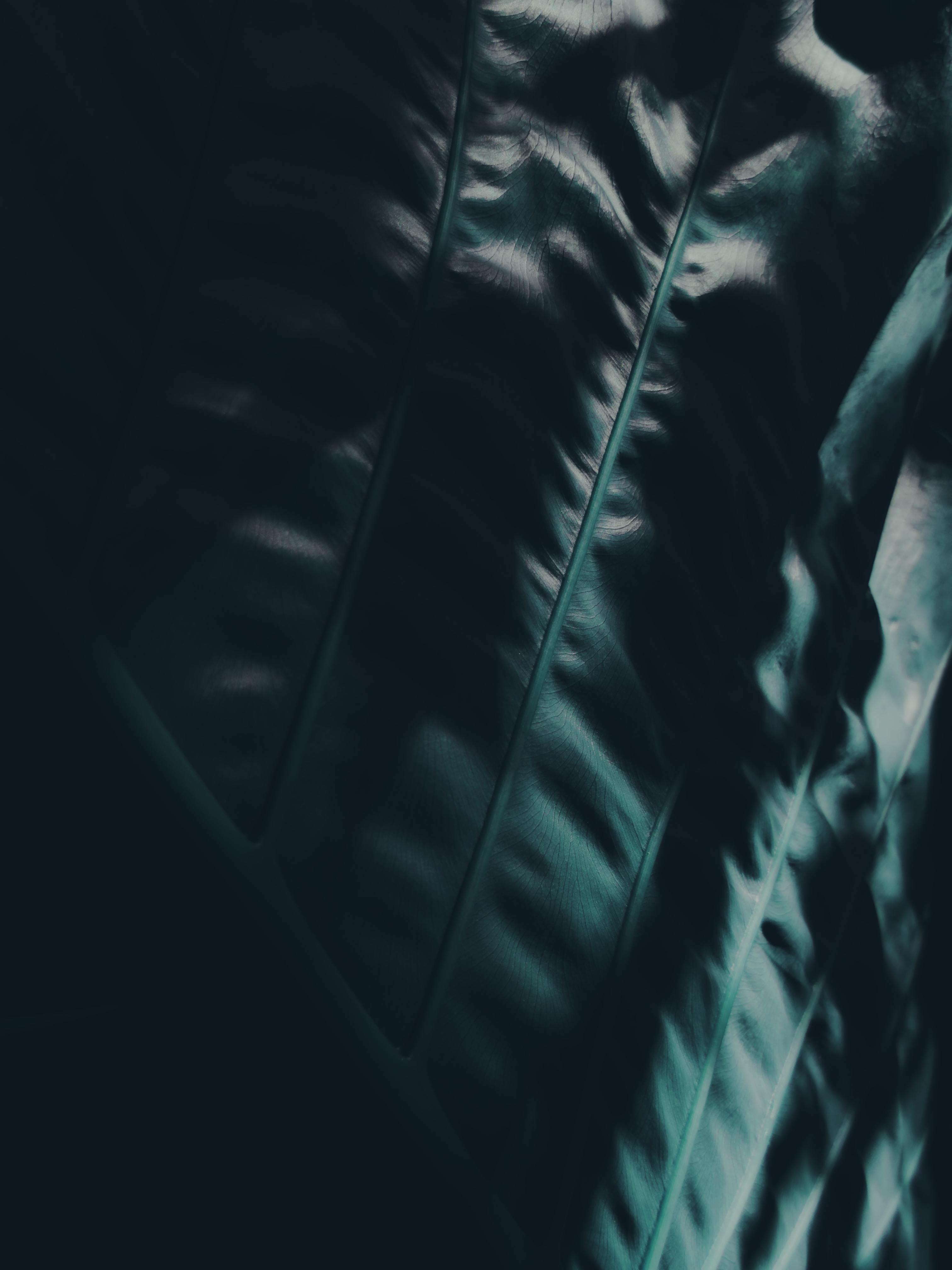 De franc Foto d'estoc gratuïta de abstracte, ambient, artístic Foto d'estoc