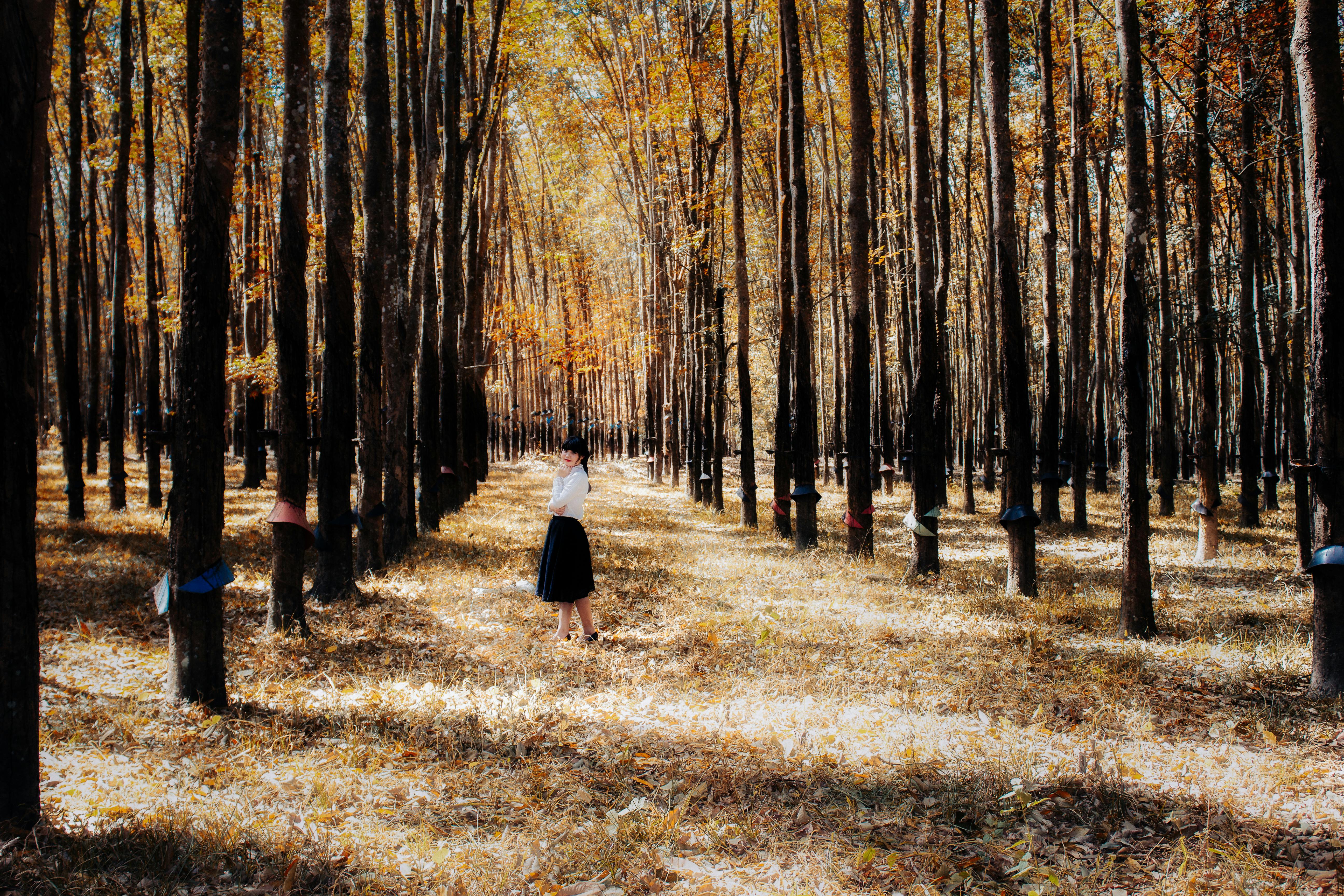 國際：雨林基金鬧雙包 影響環保推動進程