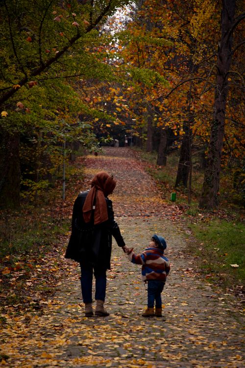 Free A mother and child hold hands while walking on a leaf-covered path in an Istanbul forest during autumn. Stock Photo