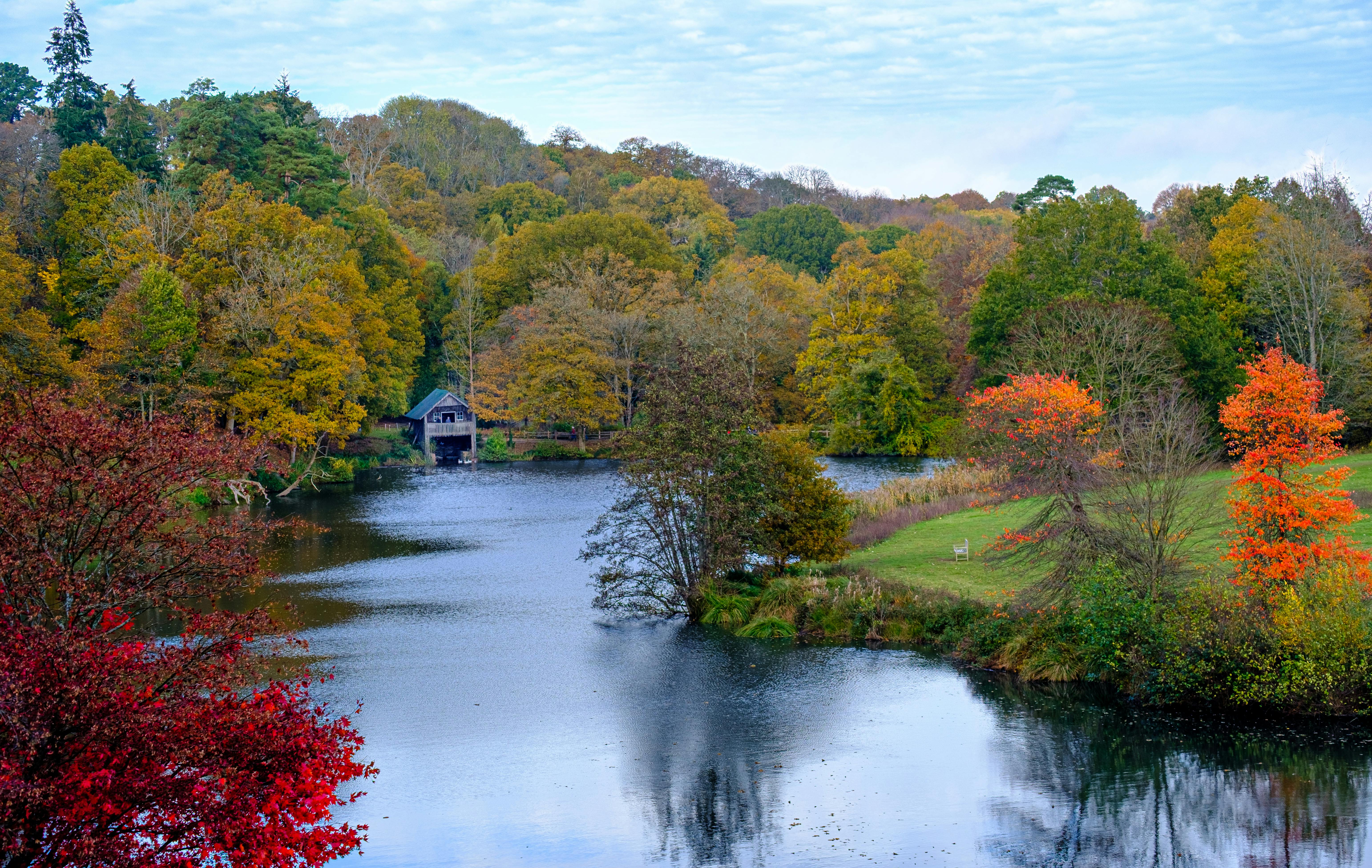 Serene autumn scene with colorful foliage and a tranquil lake at Winkworth Arboretum.