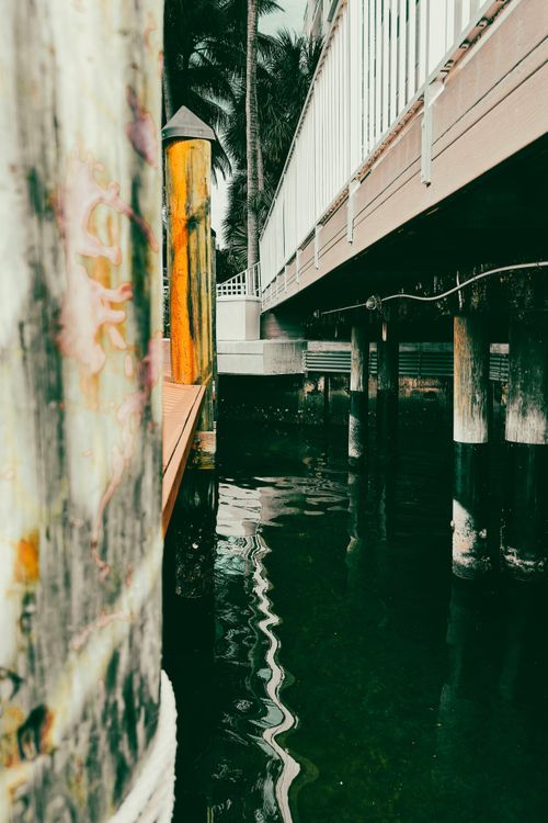 Free Tranquil dockside scene with pilings and water reflection, evoking calm. Stock Photo