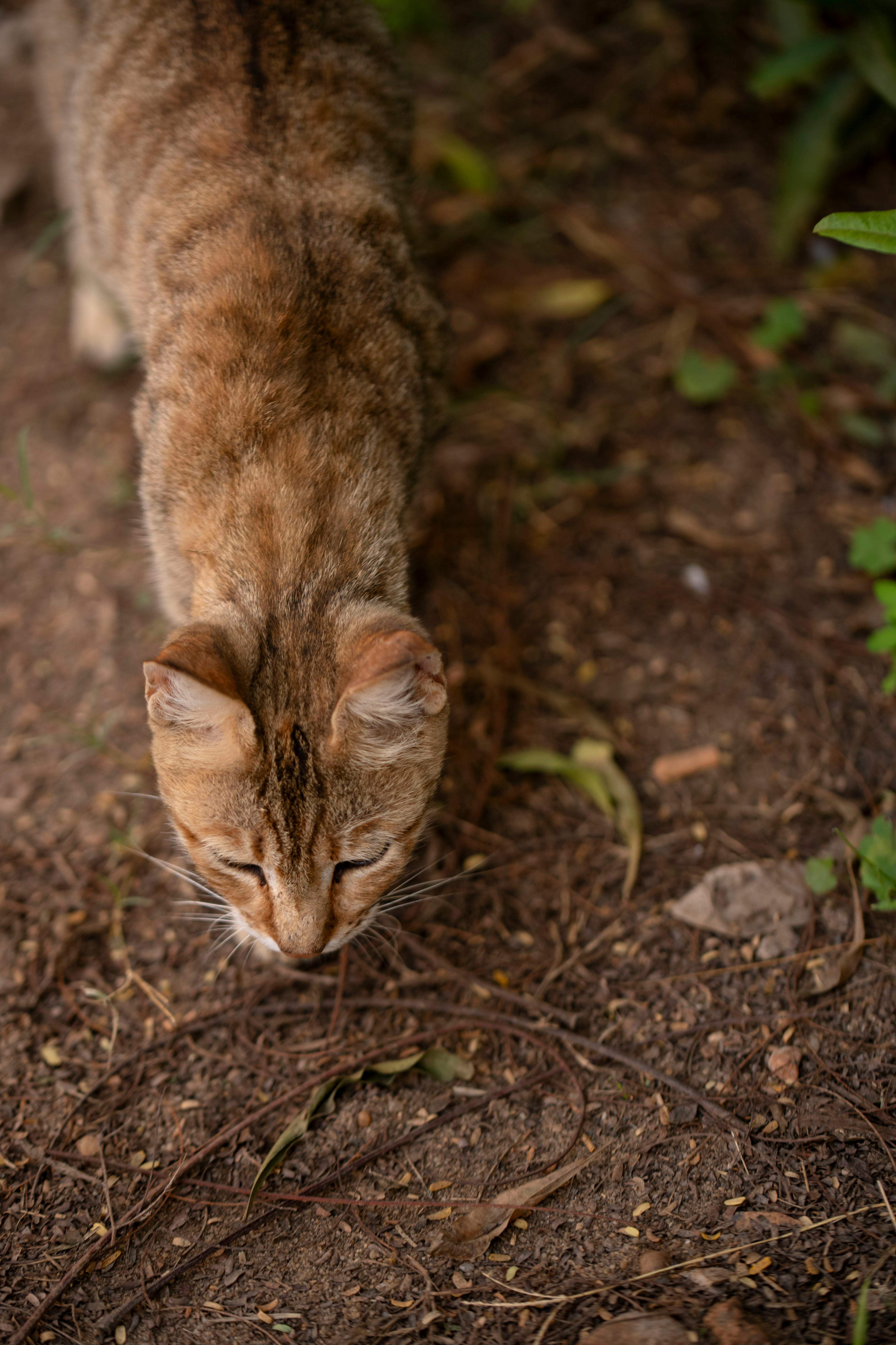 Outreach-Berichte Für Kunden: Wie Sie Eindrucksvoll Überzeugen 10 Schritt-für-Schritt-Anleitung: So erstellen Sie einen unwiderstehlichen Outreach-Bericht für Ihre Kunden