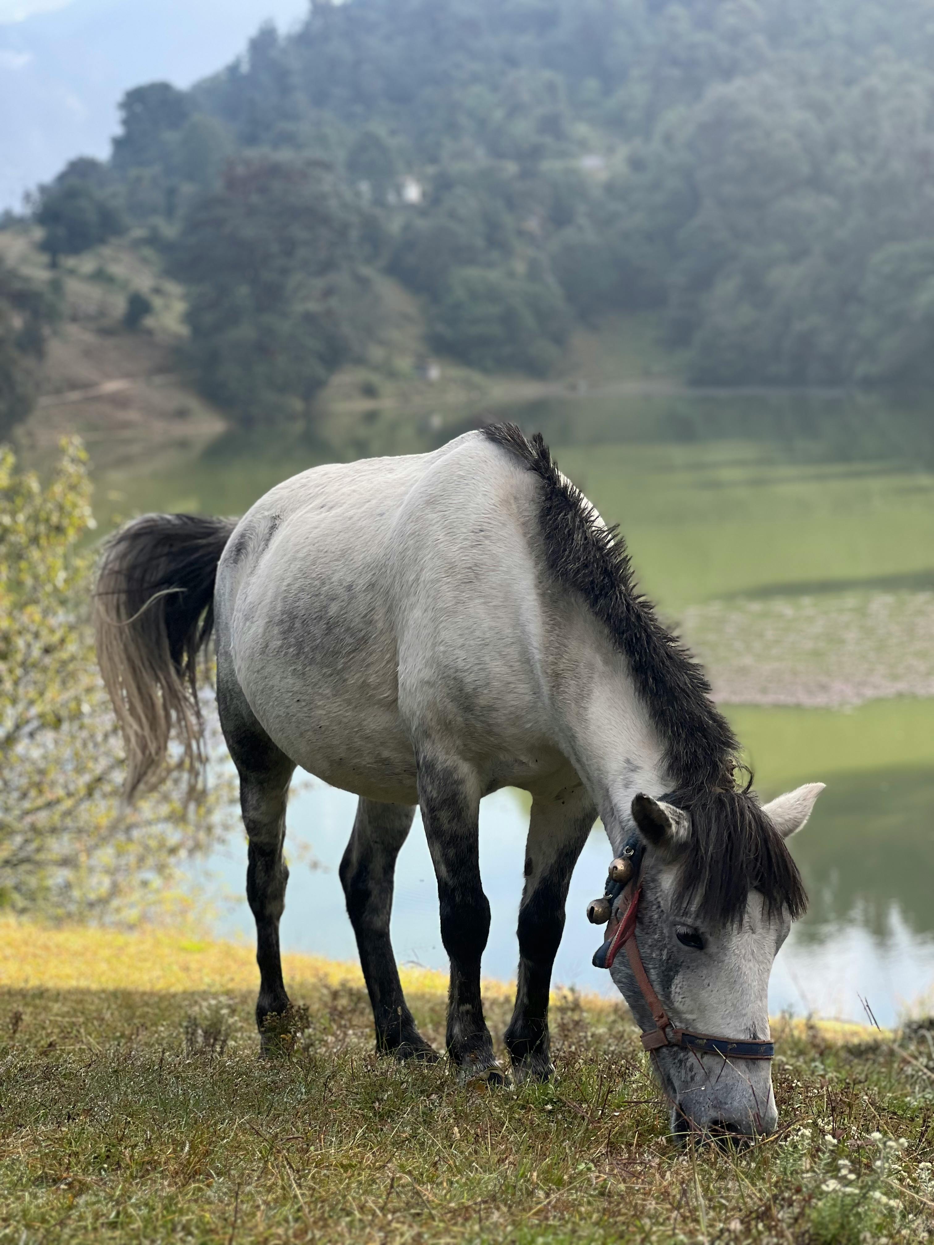 Free Download From Pesktop Photos Download The BEST Free Free Download