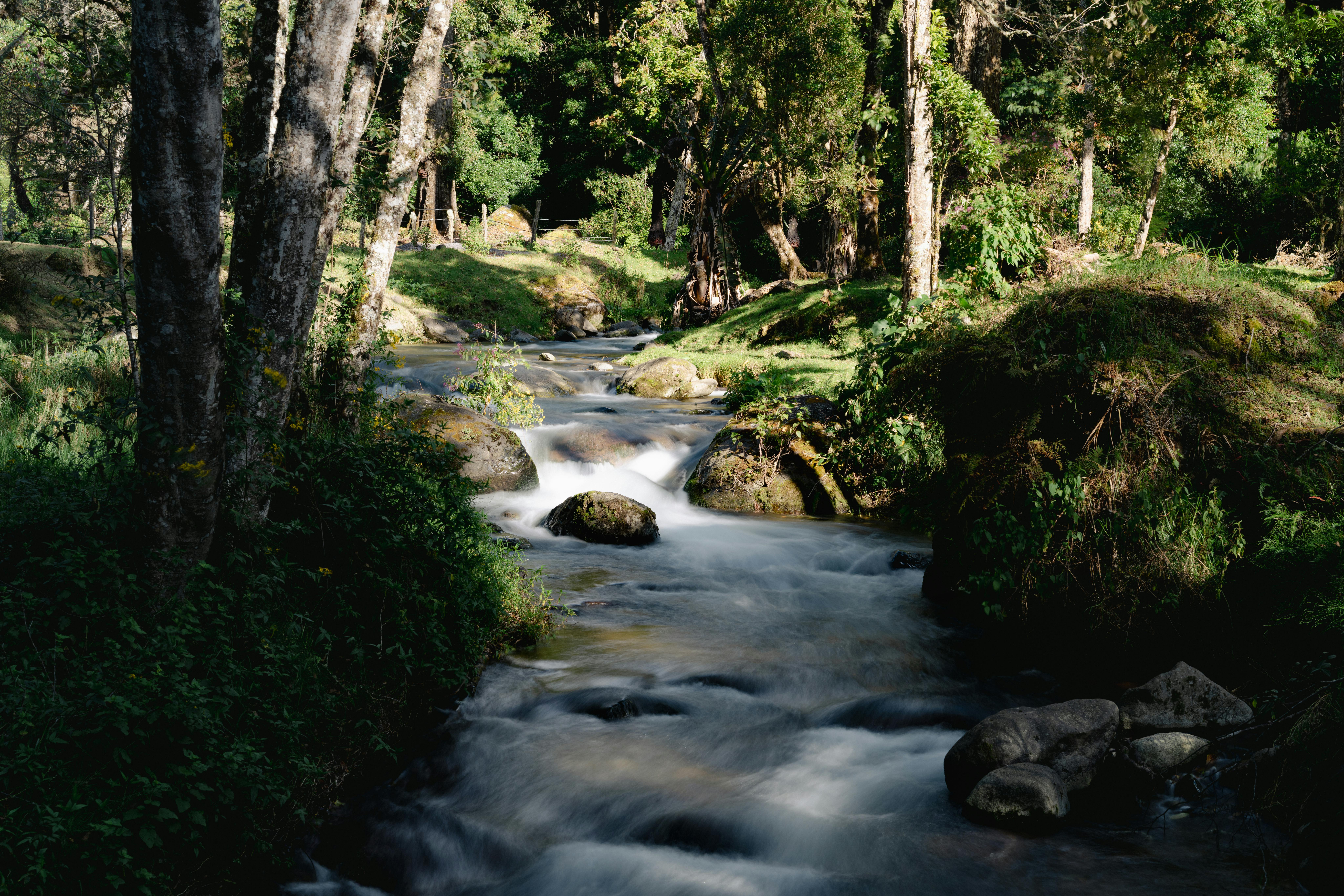 昌活政治路受柯文哲陰影影響 五大挑戰待突破