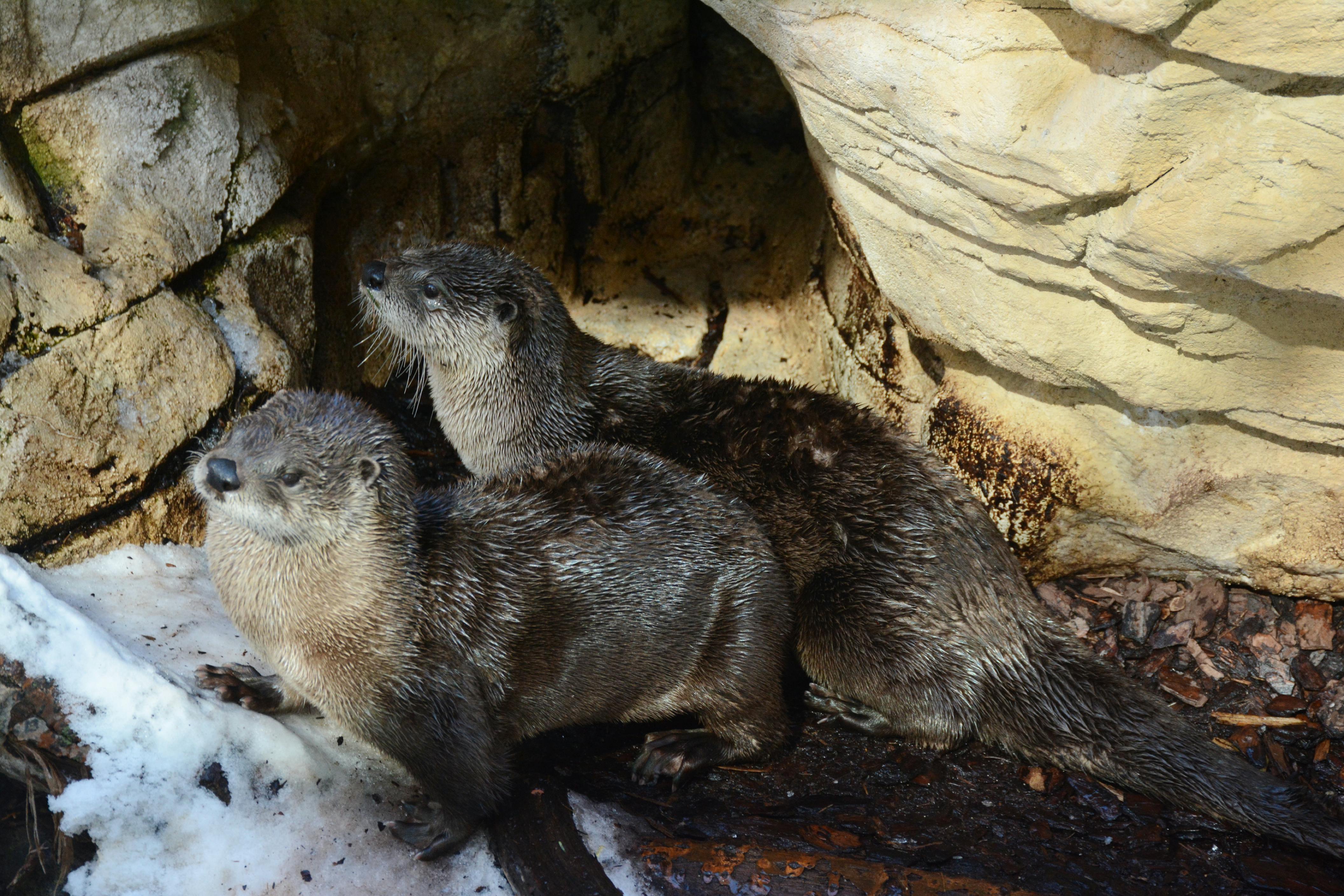 Blogger-Outreach-Prozess Dokumentieren: So Gewinnen Sie Partner! 6 Inspirierende Beispiele für erfolgreiche Blogger-Partnerschaften: Lernen Sie von den Besten!