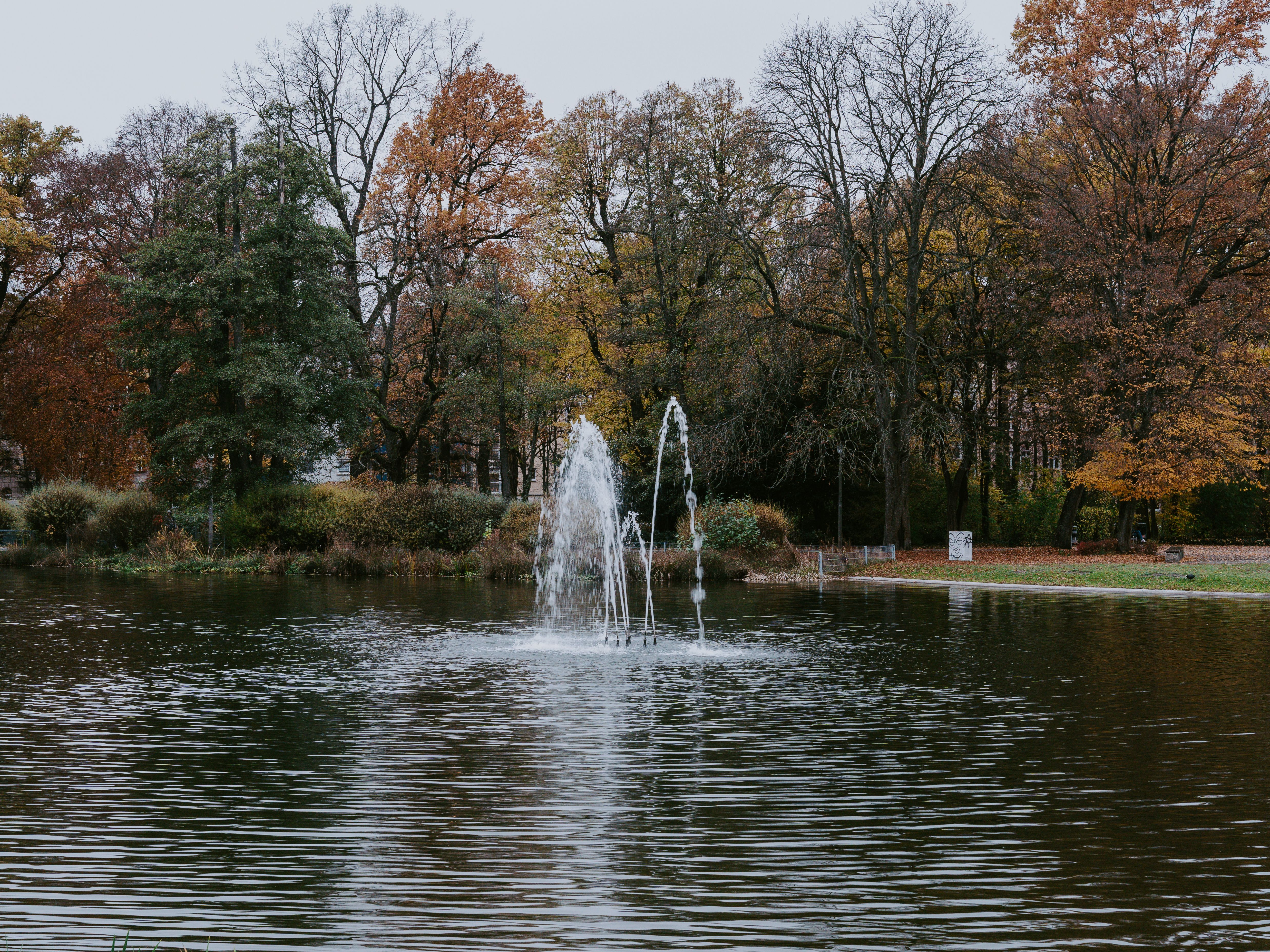 Water Fountain in the Middle of Pond · Free Stock Photo