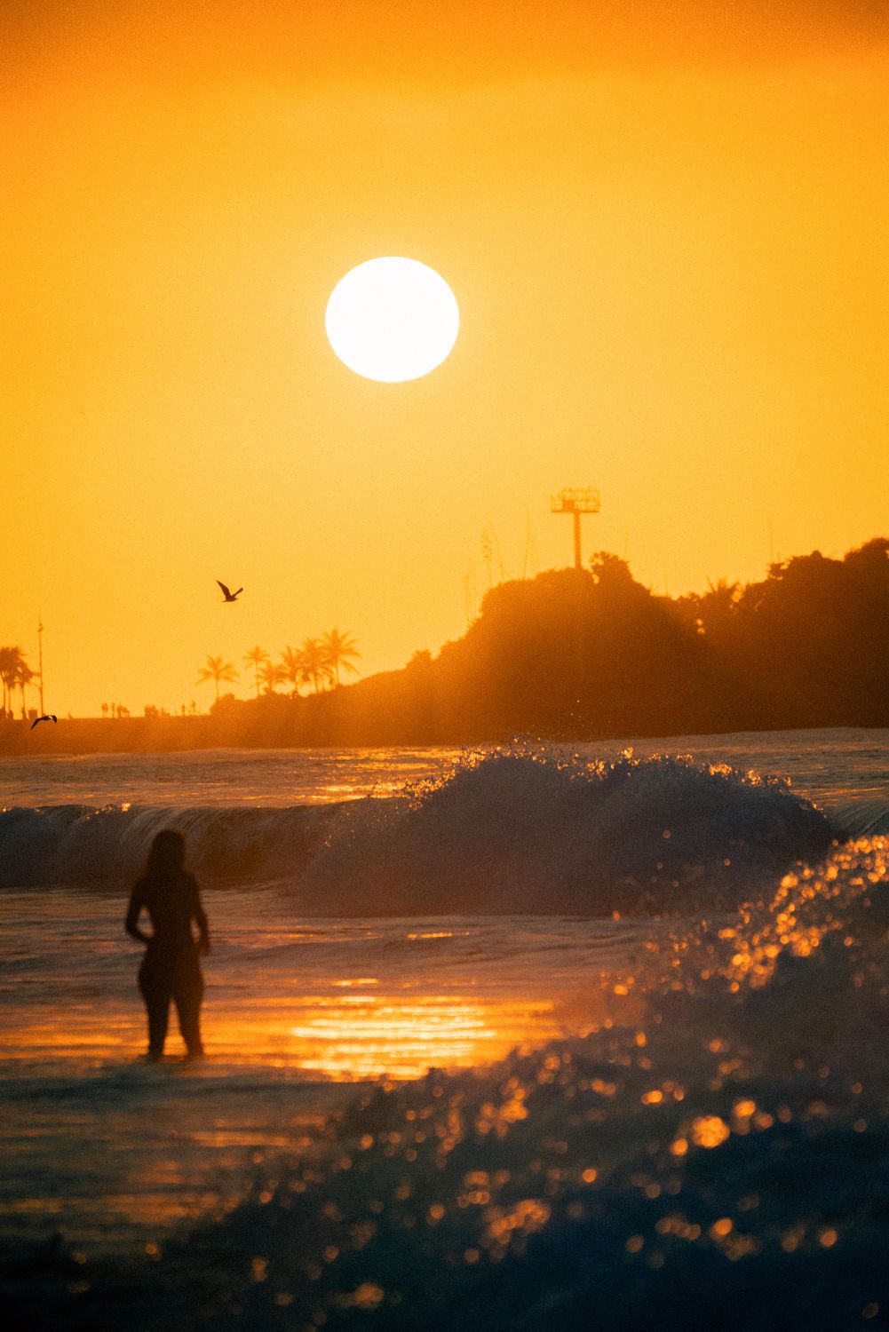Silhouette of Woman at Sunset Beach · Free Stock Photo