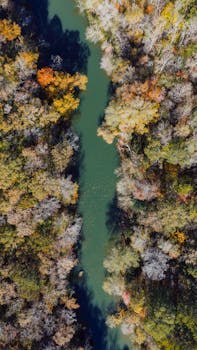A stunning aerial view of a vibrant autumn forest in Birmingham, Alabama, showcasing diverse foliage.
