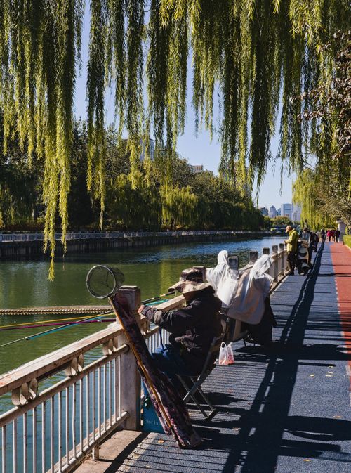 Free People enjoying leisure time by a river in Beijing. Shade and willow trees enhance the relaxing atmosphere. Stock Photo