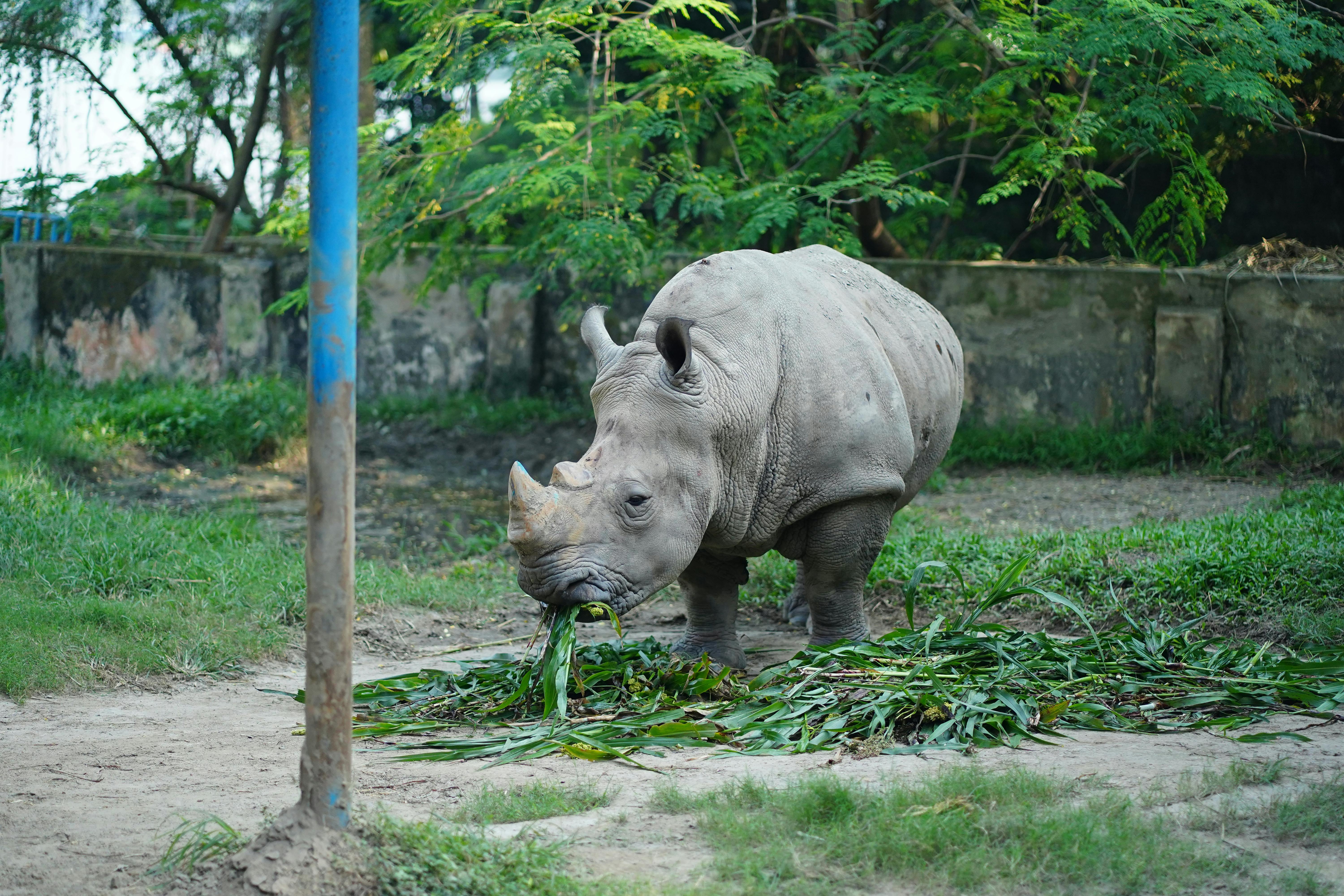 Bakırköy Mahalle Fiyatları: 2024 Yılında Yatırım Yapmak İçin En İyi Bölge Neresi?