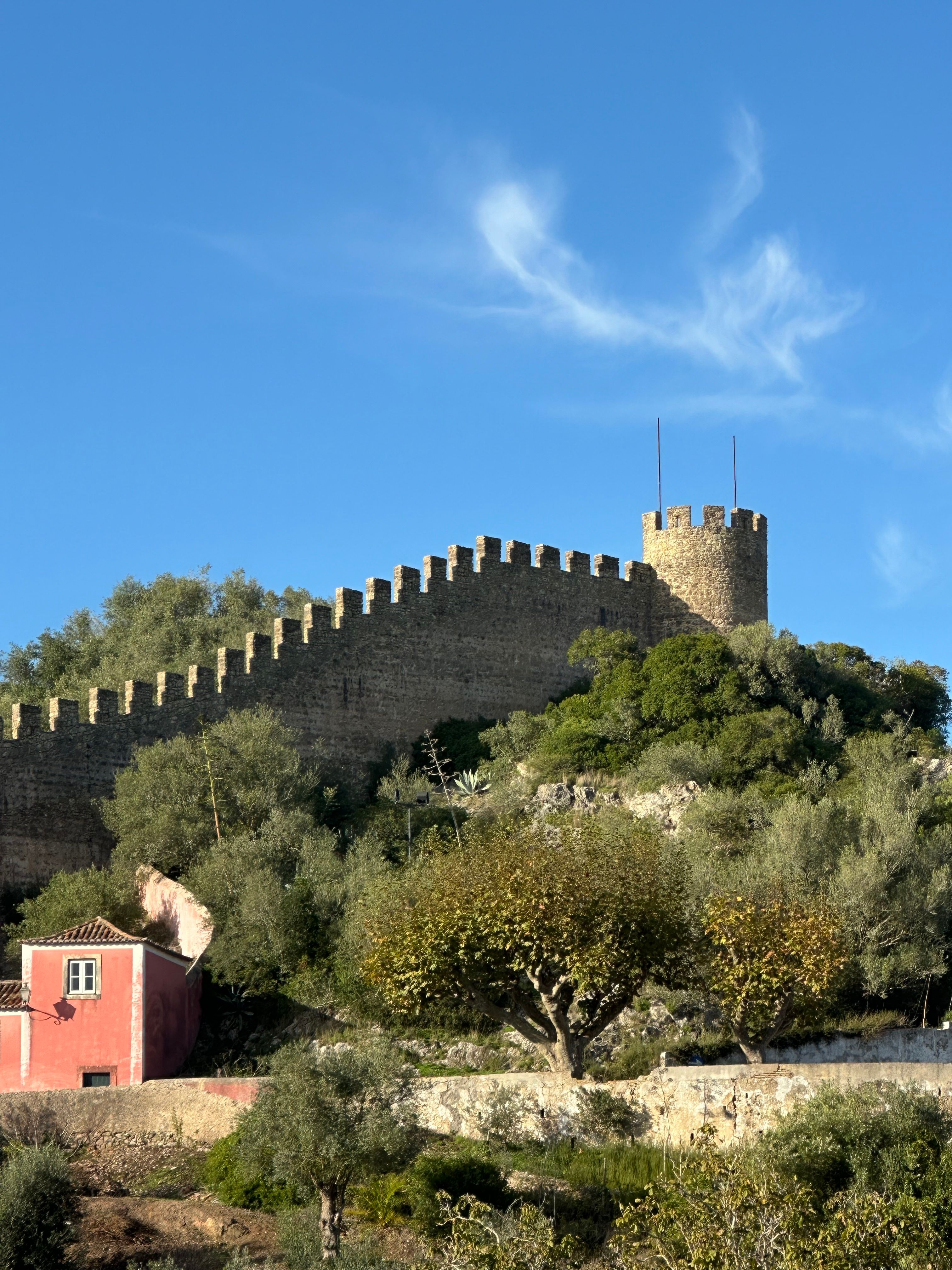 View from Monsaraz castle over the Alentejo plains and Guadiana River, Spain visible in the distance