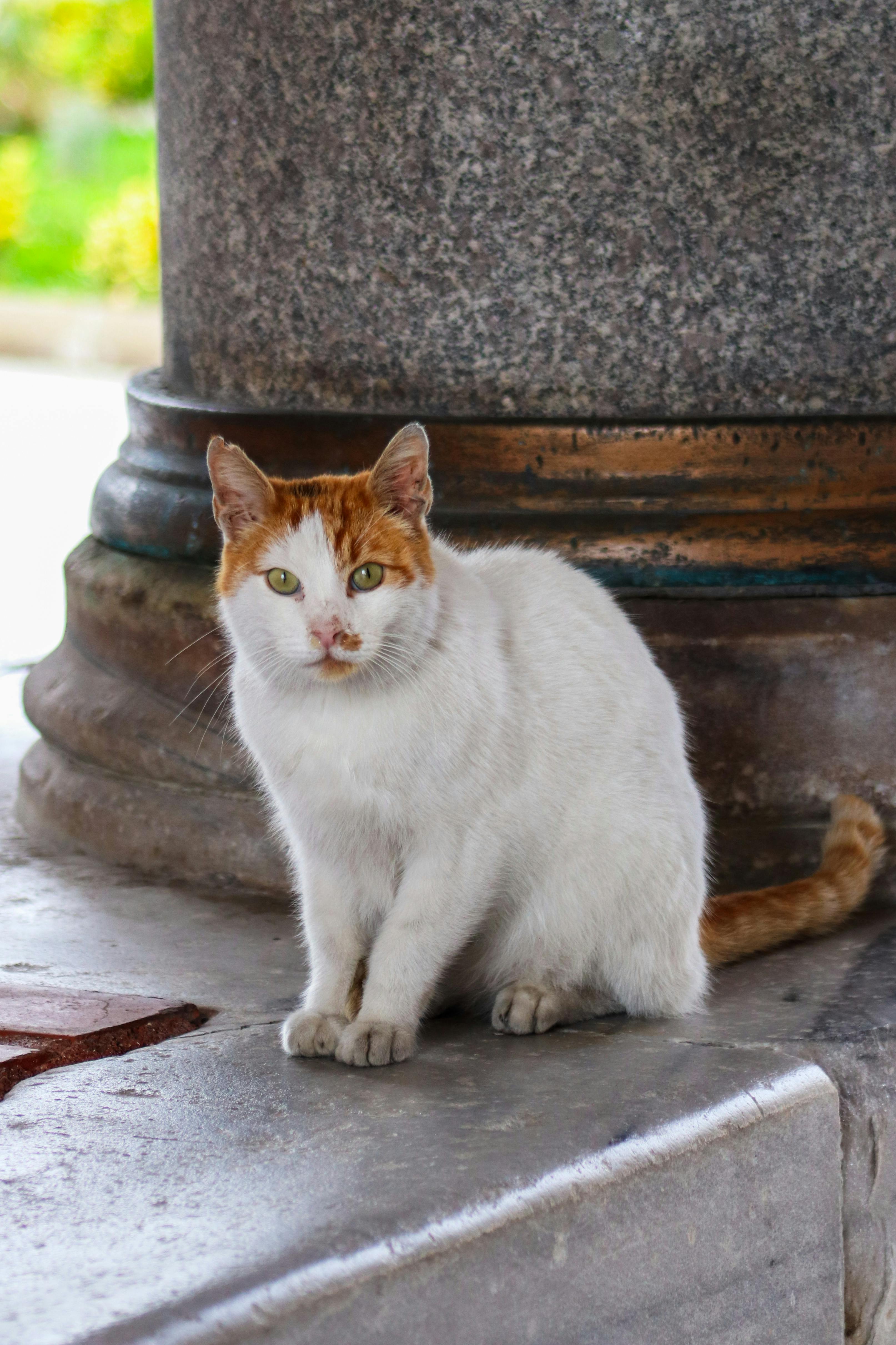 Outreach-Daten Sicher Speichern: Tipps Für Maximale Sicherheit 7 So erstellen Sie eine effektive Backup-Strategie für Ihre Outreach-Daten – Schritt für Schritt