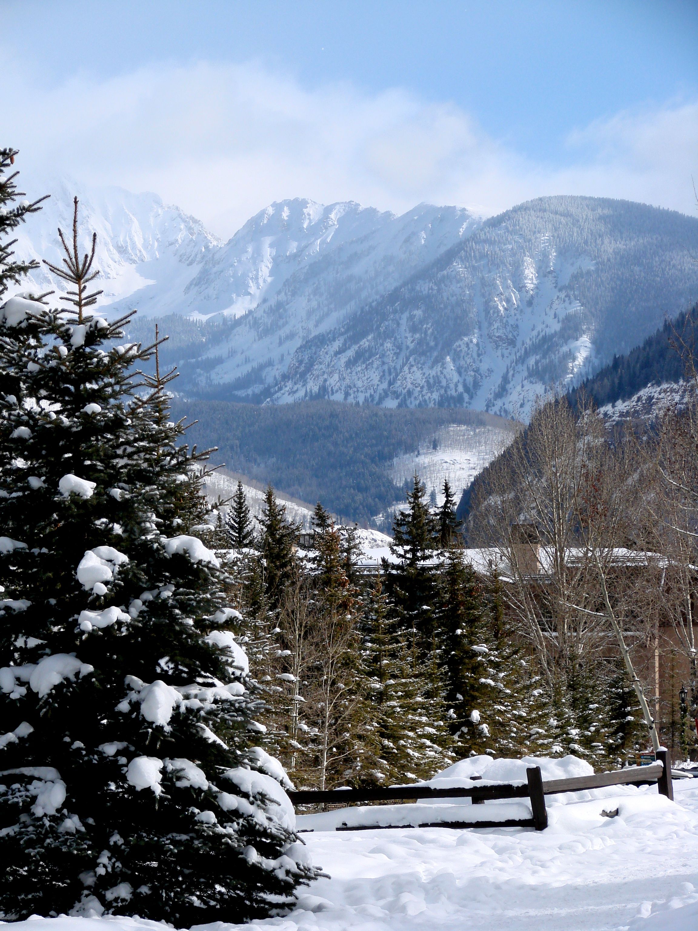 Scenic Snowy Mountain Landscape with Pines · Free Stock Photo