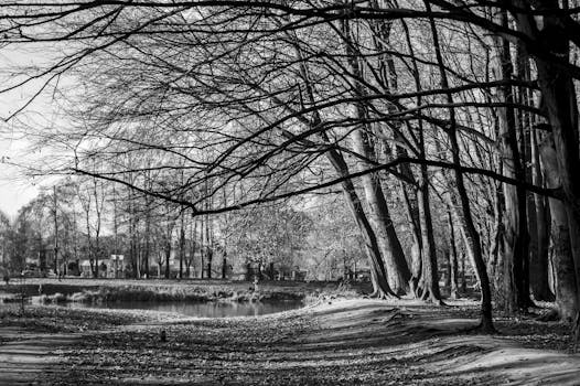 제철 음식: 건강한 의무, 맛있는 선택