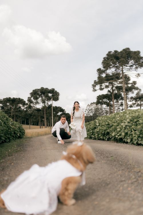 Free Couple with their dog in wedding attire on a scenic, rustic road outdoors. Stock Photo