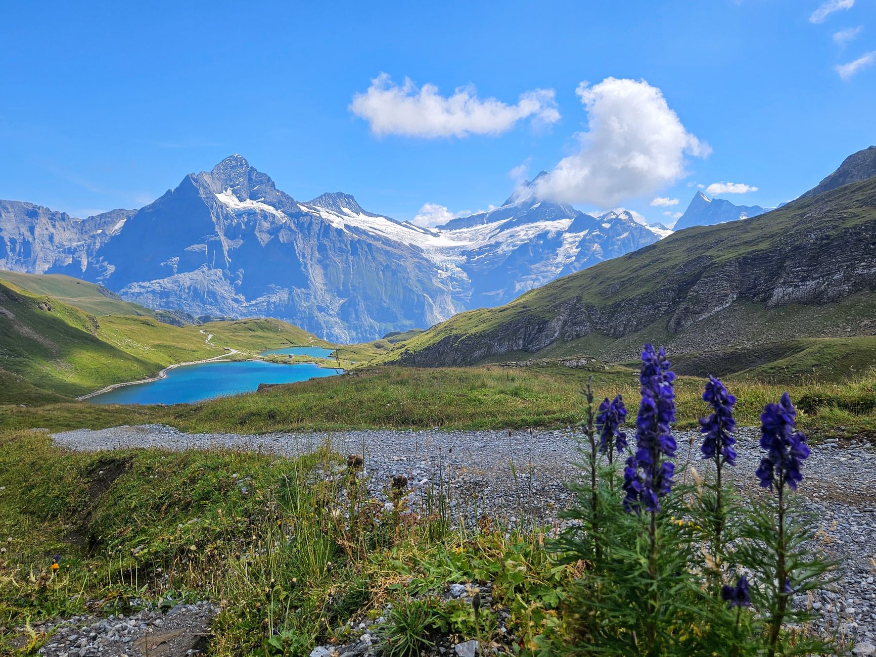 Accompagnatrice de montagne - La Marmotte Vagabonde
