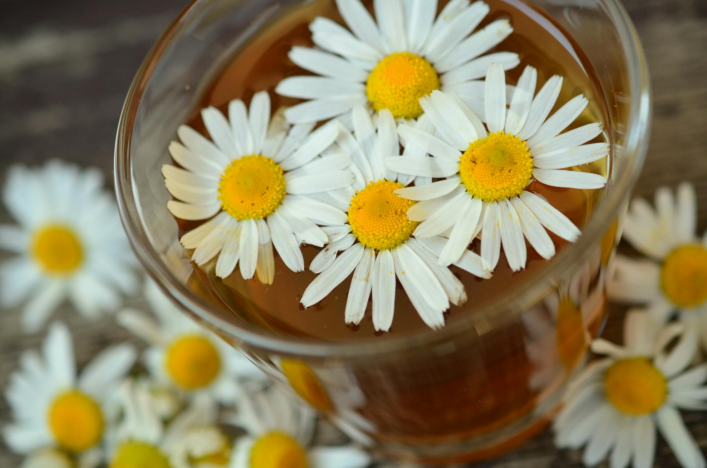 Tea with chamomile flowers