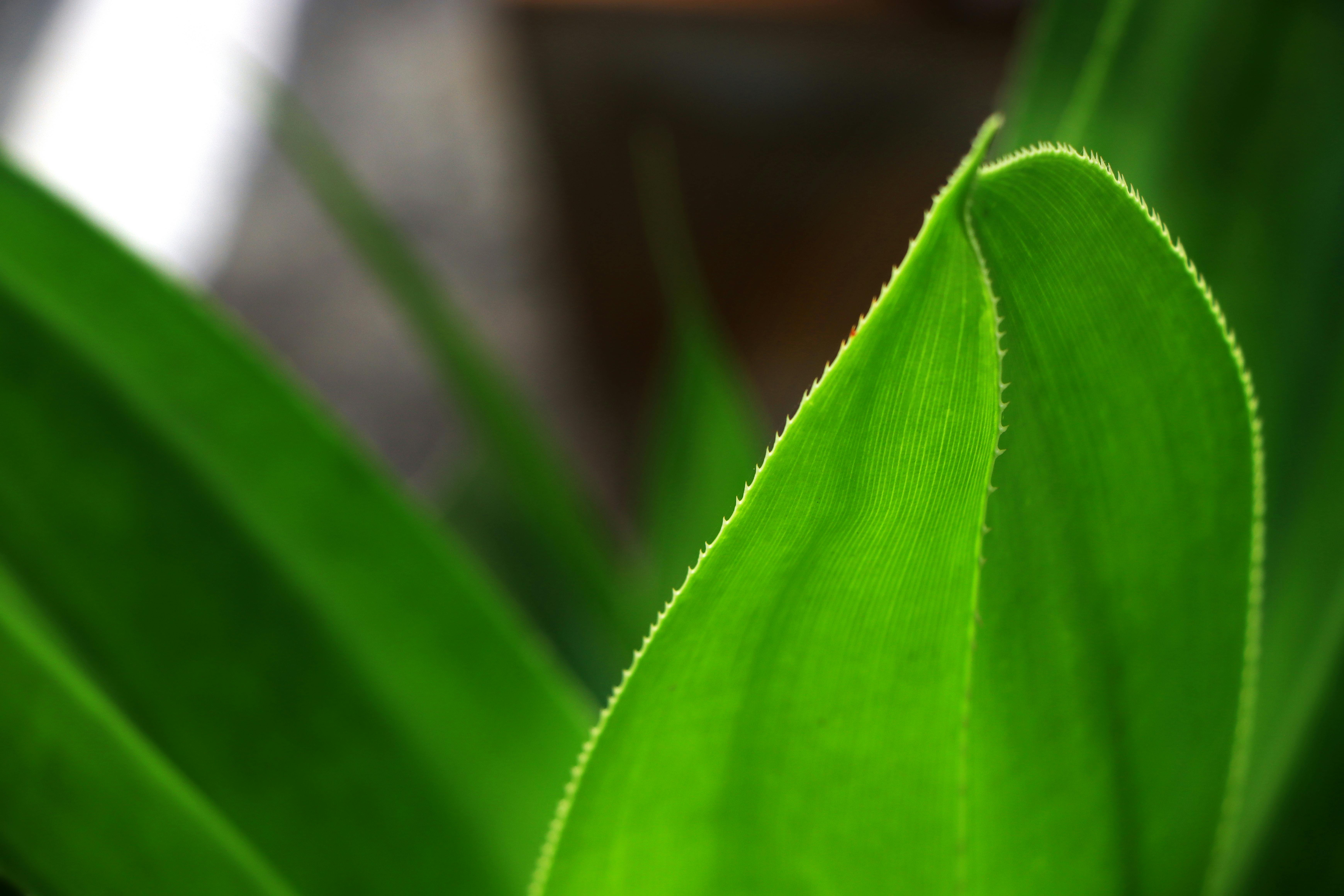 陸府攜手雲門舞集 推動藝術美學與永續生活實踐