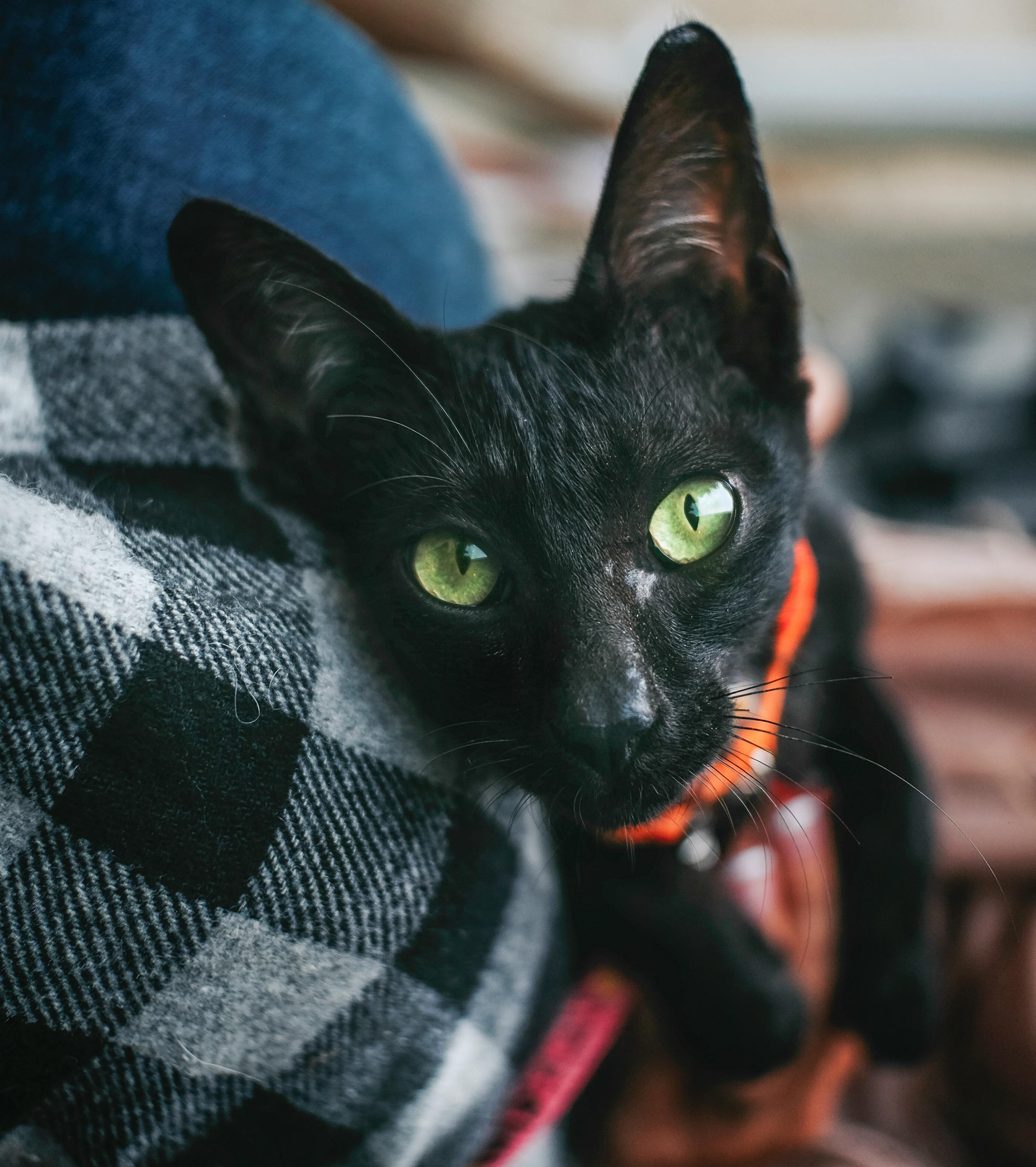 Outreach.ws Im SEO-Alltag Nutzen: So Optimieren Sie Ihre Strategie 3 Warum Outreach.ws Der Game-Changer Für Ihre Content-Distribution Ist