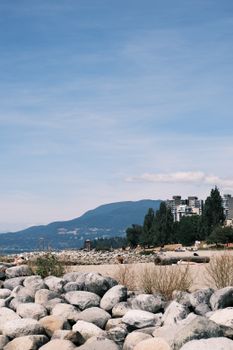 Beautiful coastal view with rocky shoreline and distant city buildings under a clear blue sky.