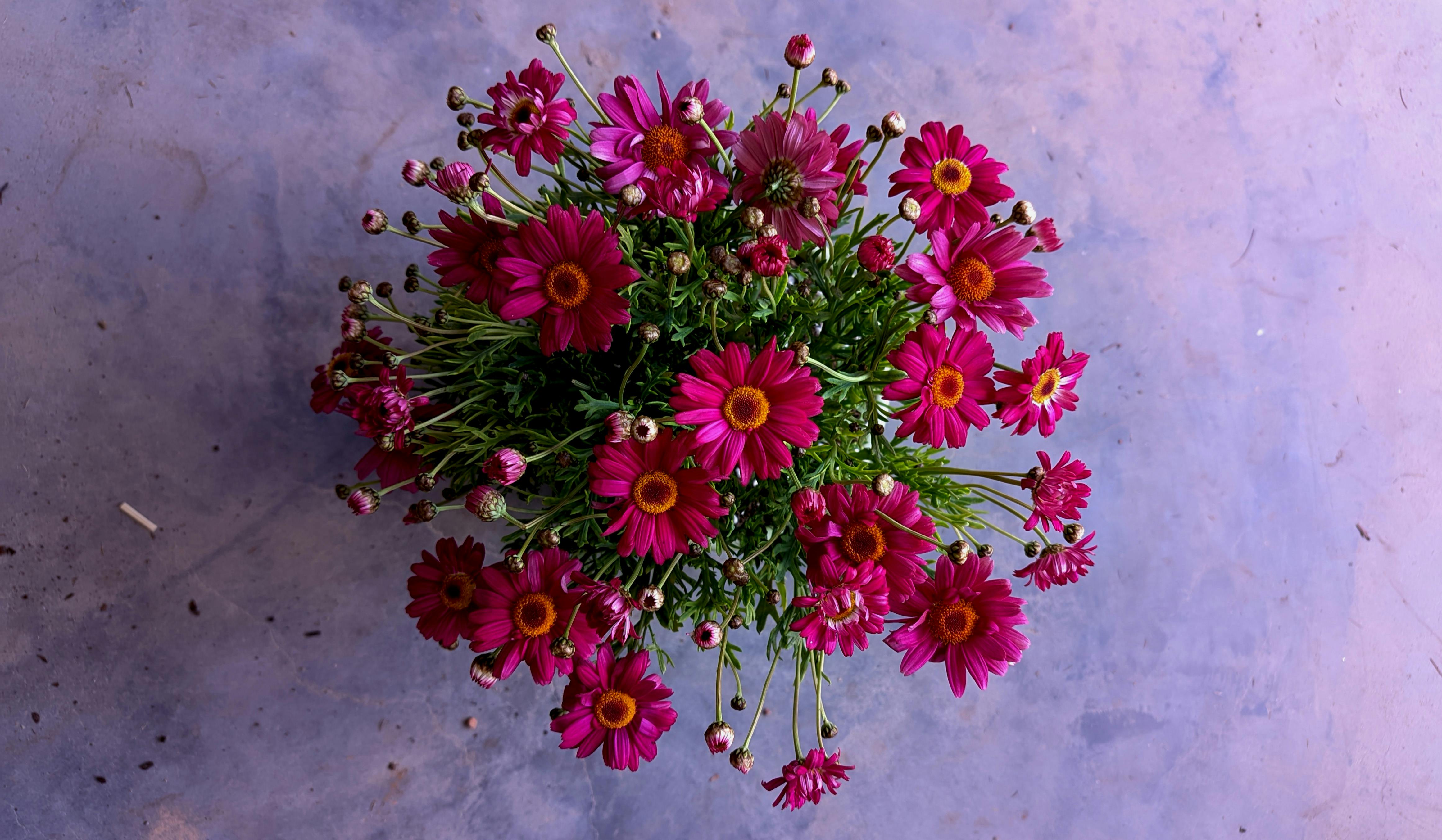 陸府攜手雲門舞集 推動藝術美學與永續生活實踐