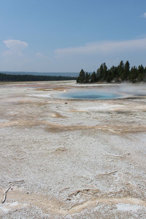 Free A geothermal spring in Yellowstone National Park with steam rising and trees in the distance. Stock Photo
