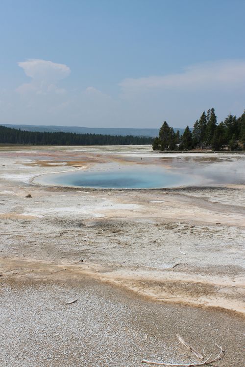 Free Geothermal spring in Yellowstone National Park's vibrant landscape. Stock Photo