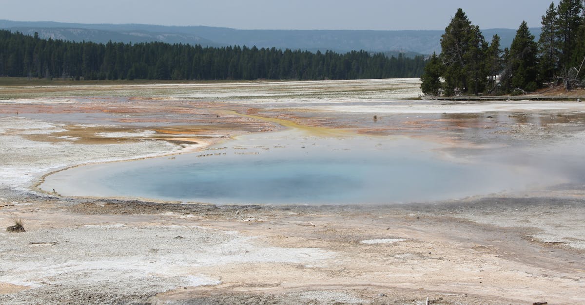 國際:習近平發動稀土戰後 中國APEC地位劇跌犯下重大錯誤