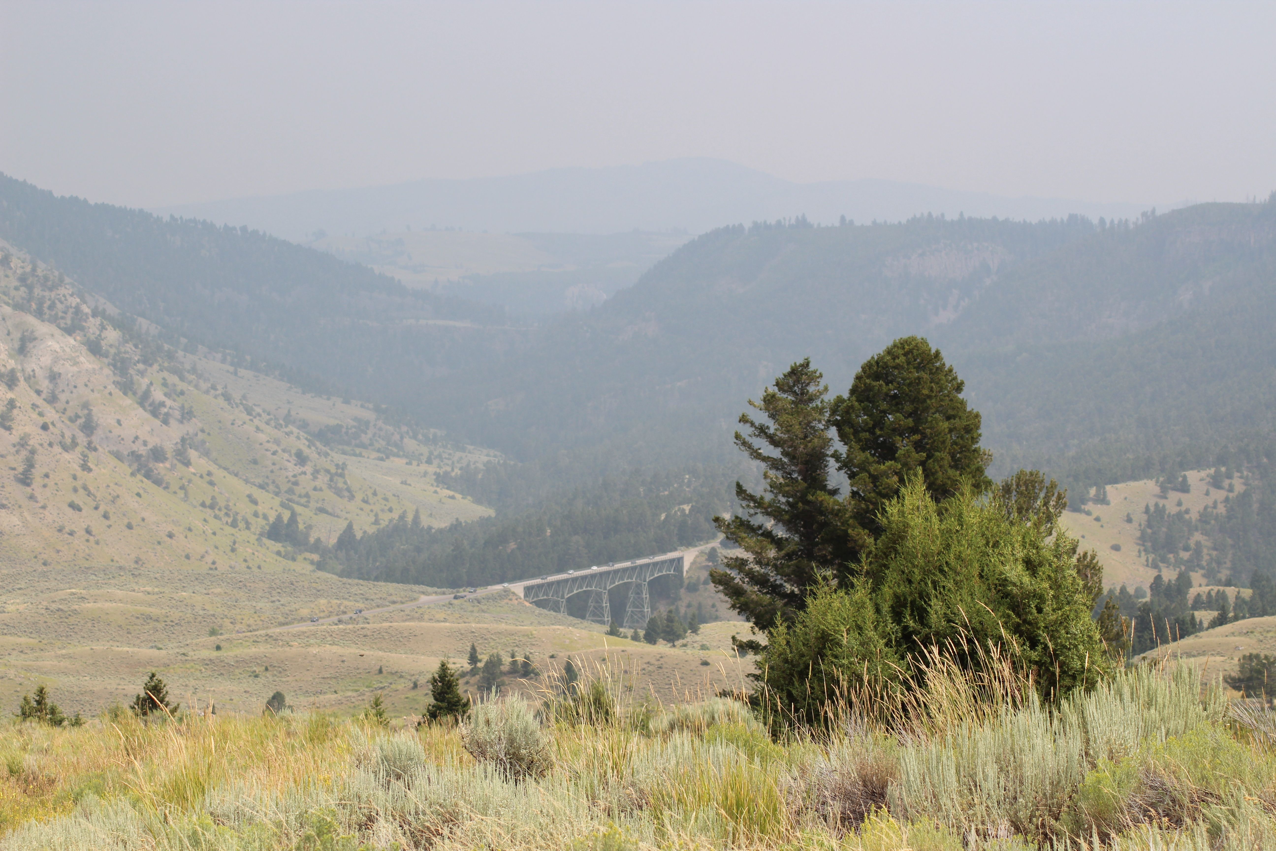 Mount Washburn