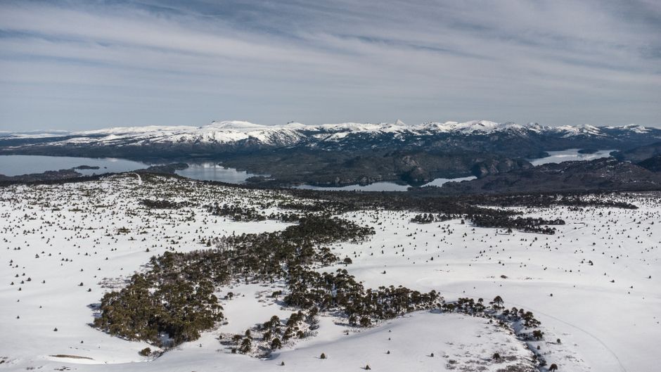 Découvrez la vue aérienne à couper le souffle du paysage enneigé des Andes en Araucanía, Chili.