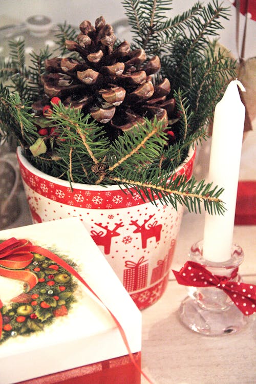 Pine Cone on Plastic Cup Beside White Candle